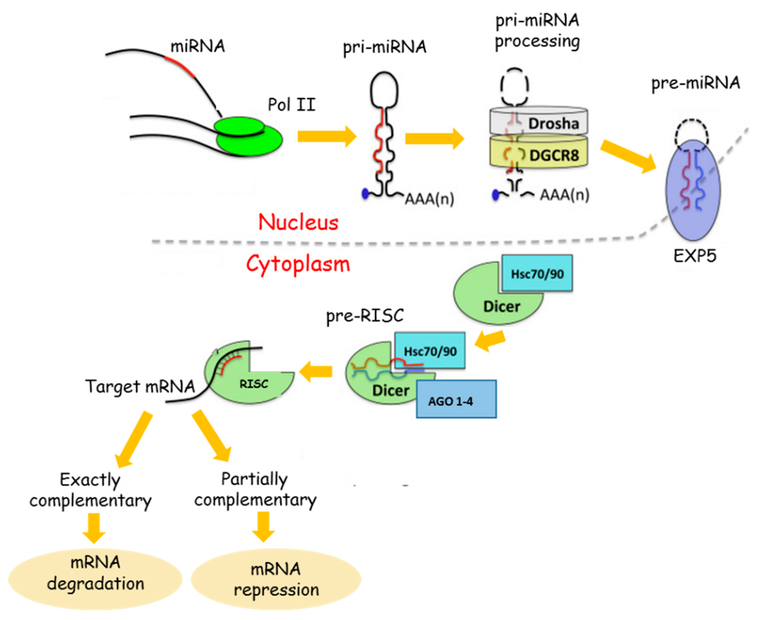 Pharmaceuticals 13 00243 g001 Pharmaceuticals 13 00243 g001