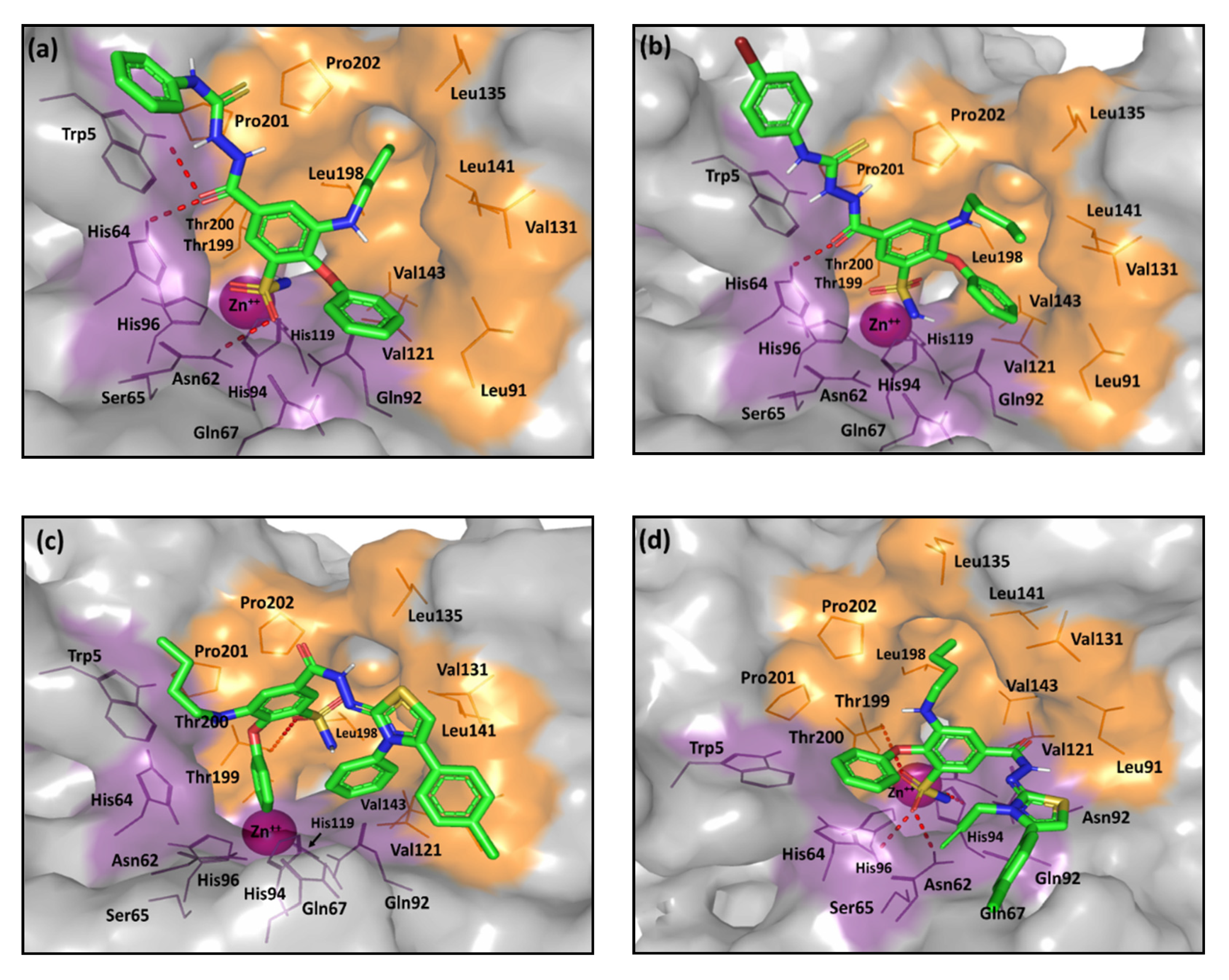 Pharmaceuticals 13 00252 g008 Pharmaceuticals 13 00252 g008
