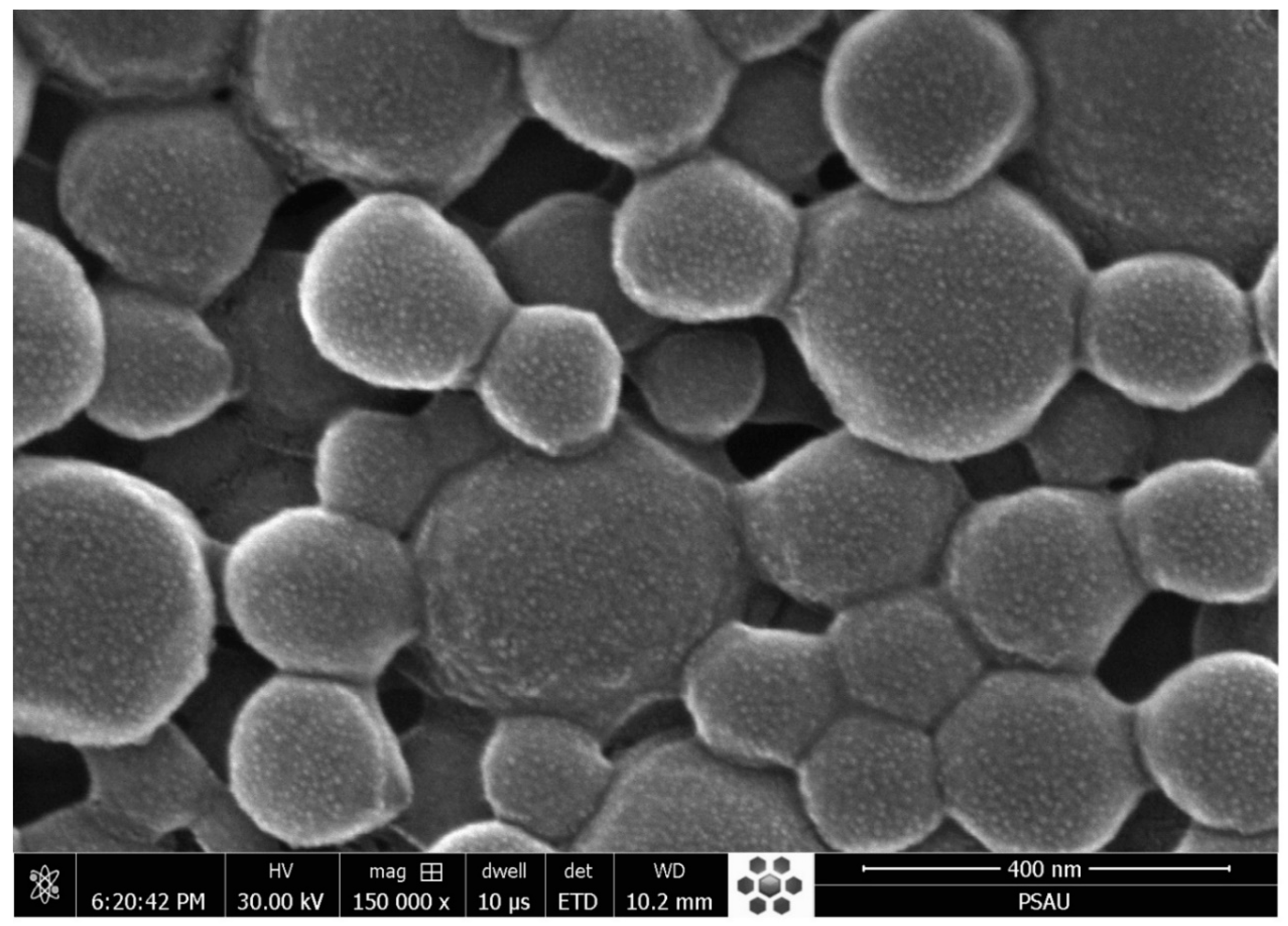 Pharmaceuticals 13 00255 g005