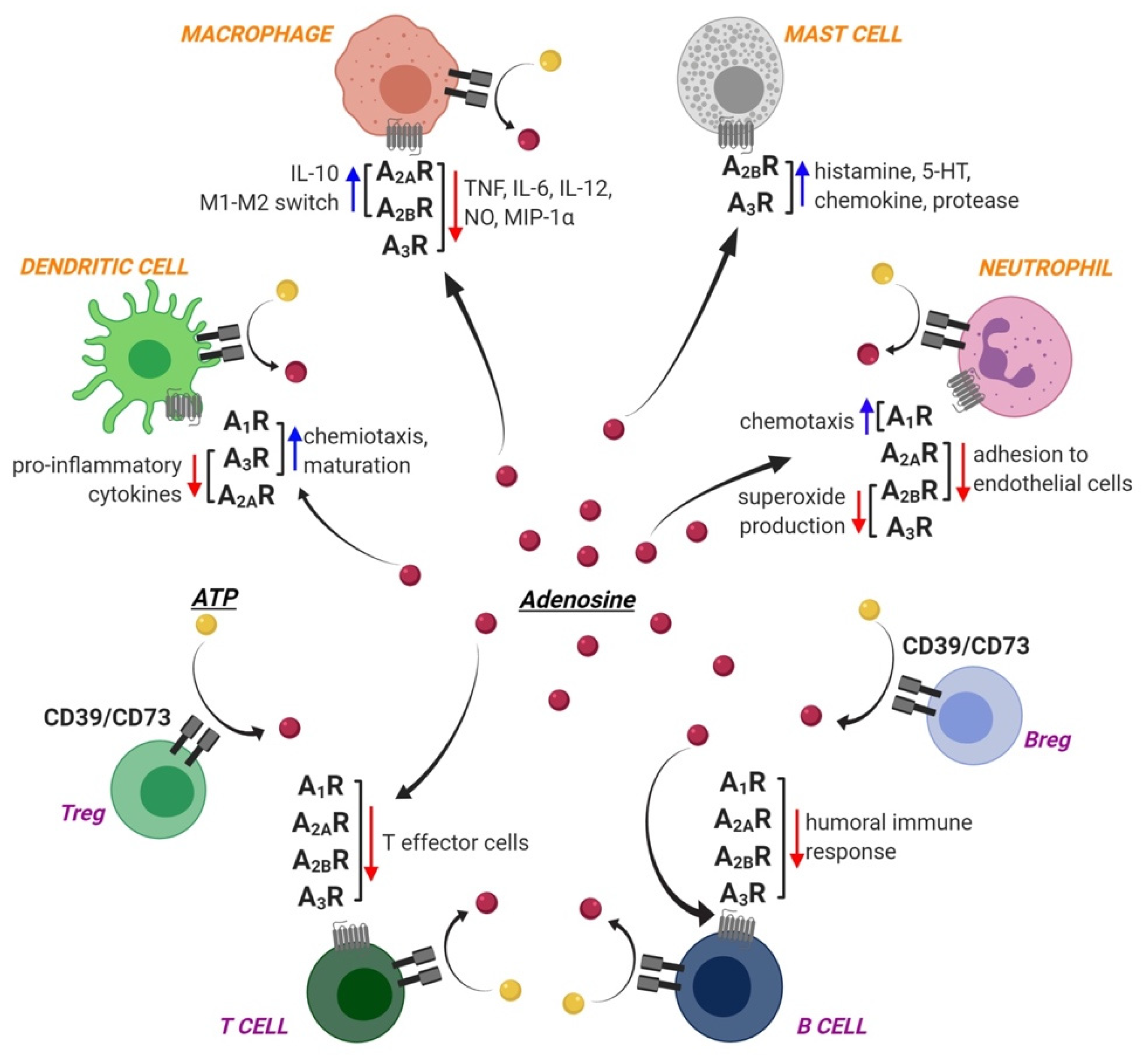 Pharmaceuticals 13 00260 g001 Pharmaceuticals 13 00260 g001