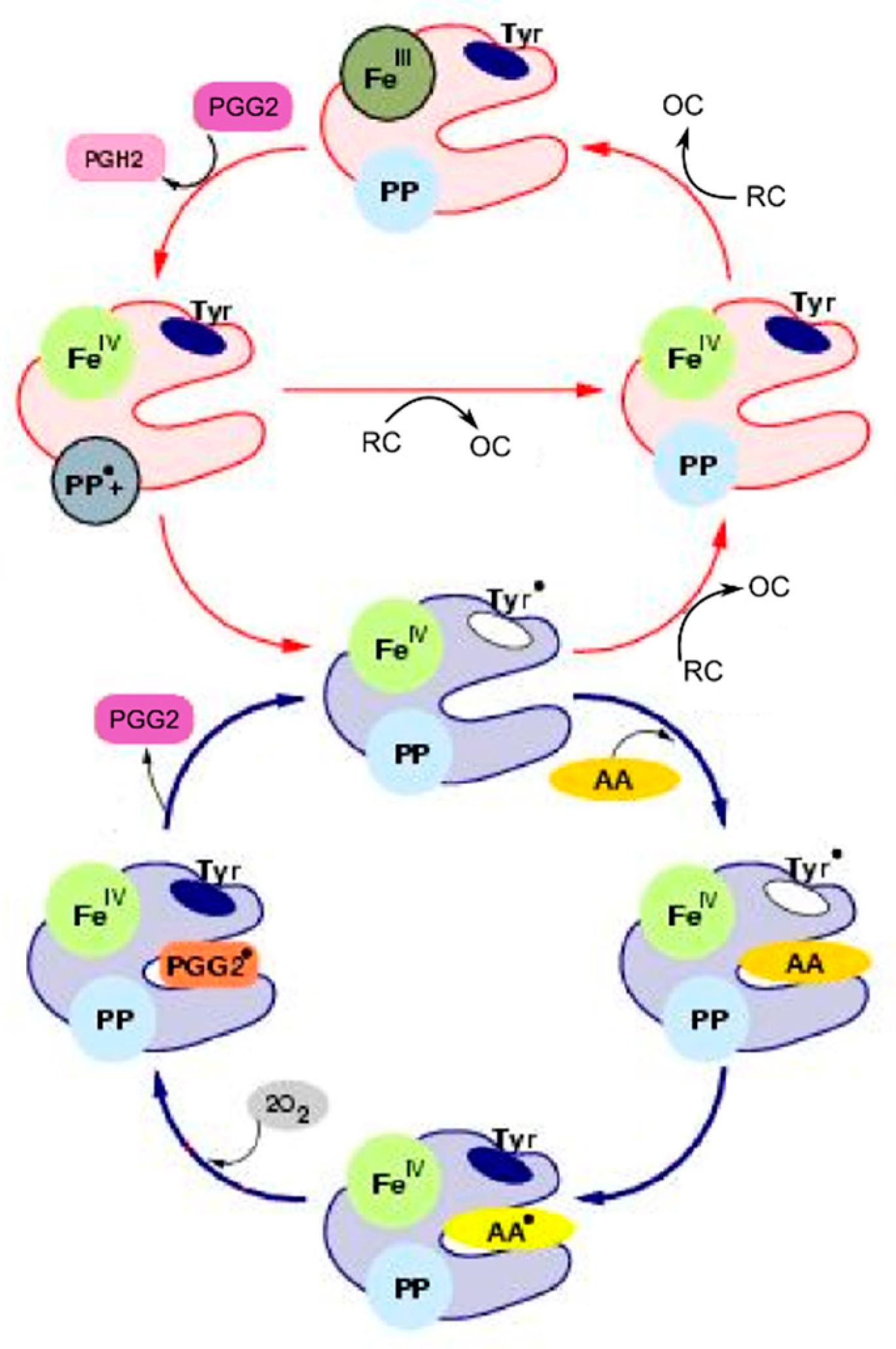 Pharmaceuticals 13 00265 g001
