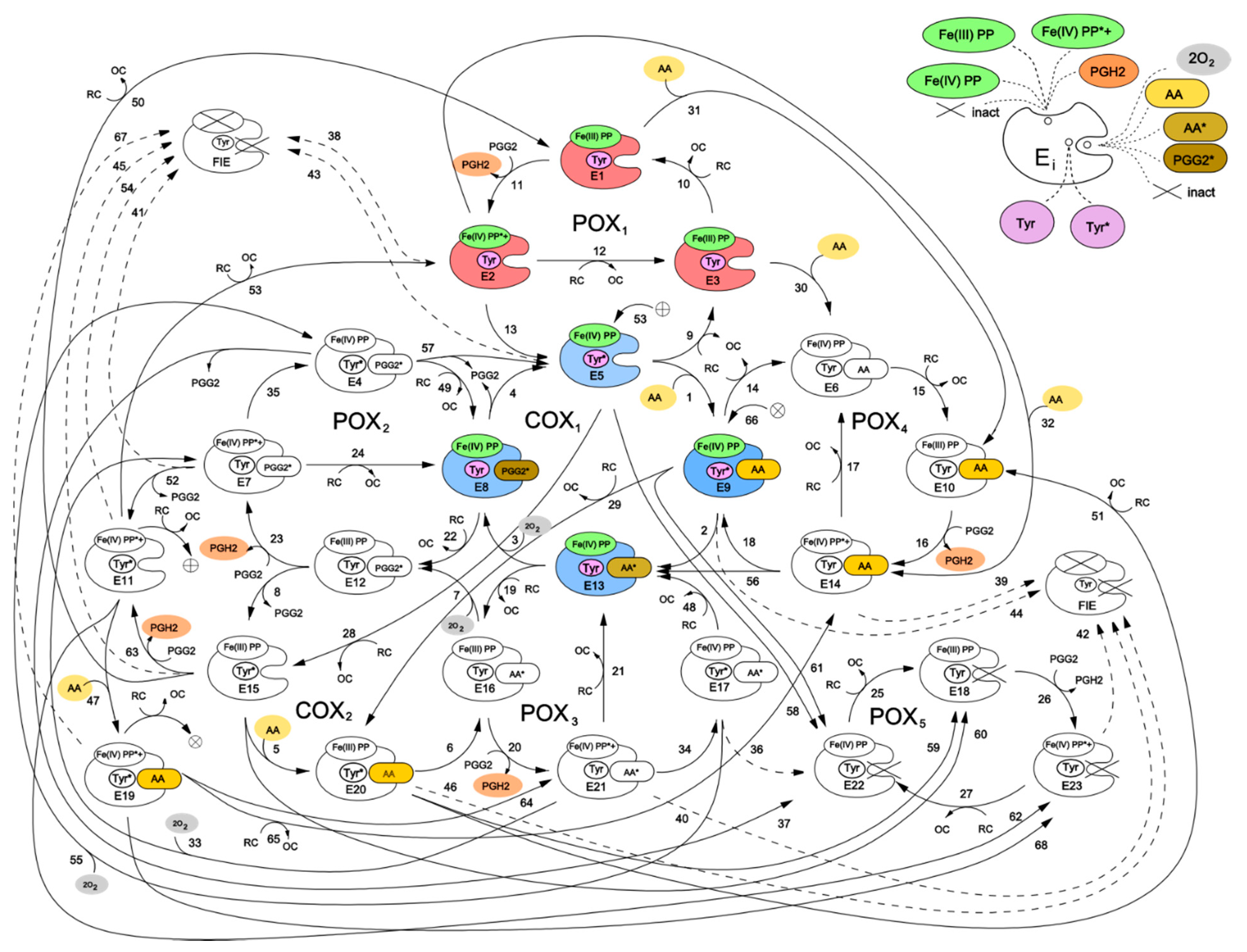 Pharmaceuticals 13 00265 g002