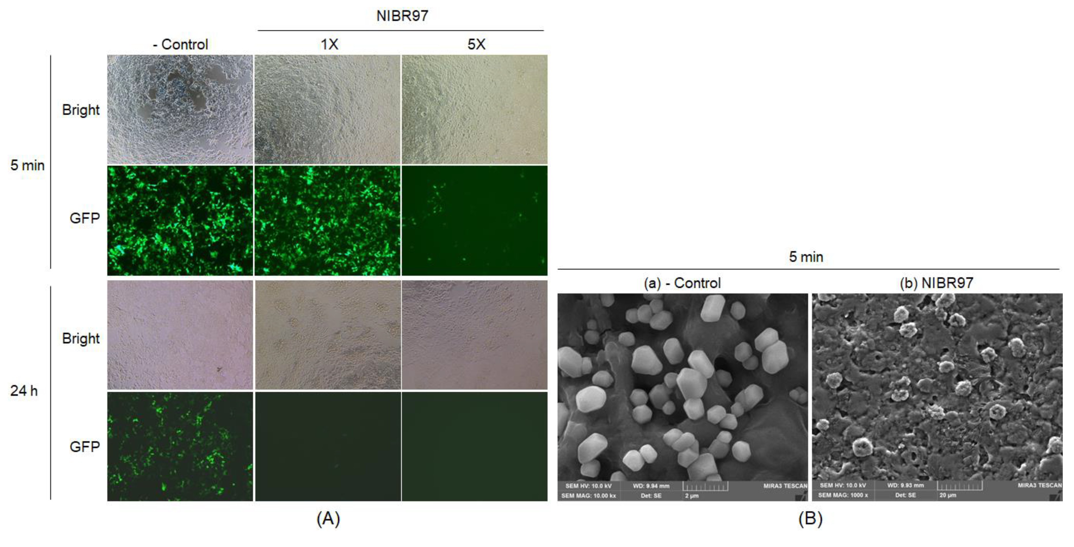 Pharmaceuticals 13 00266 g002
