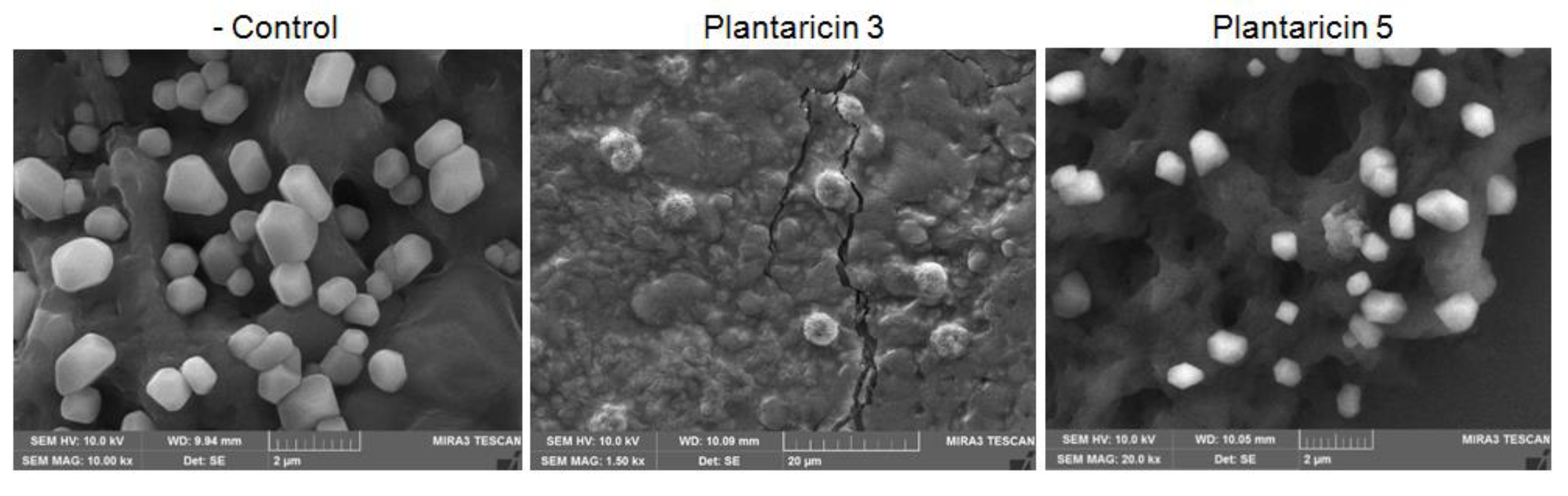 Pharmaceuticals 13 00266 g006