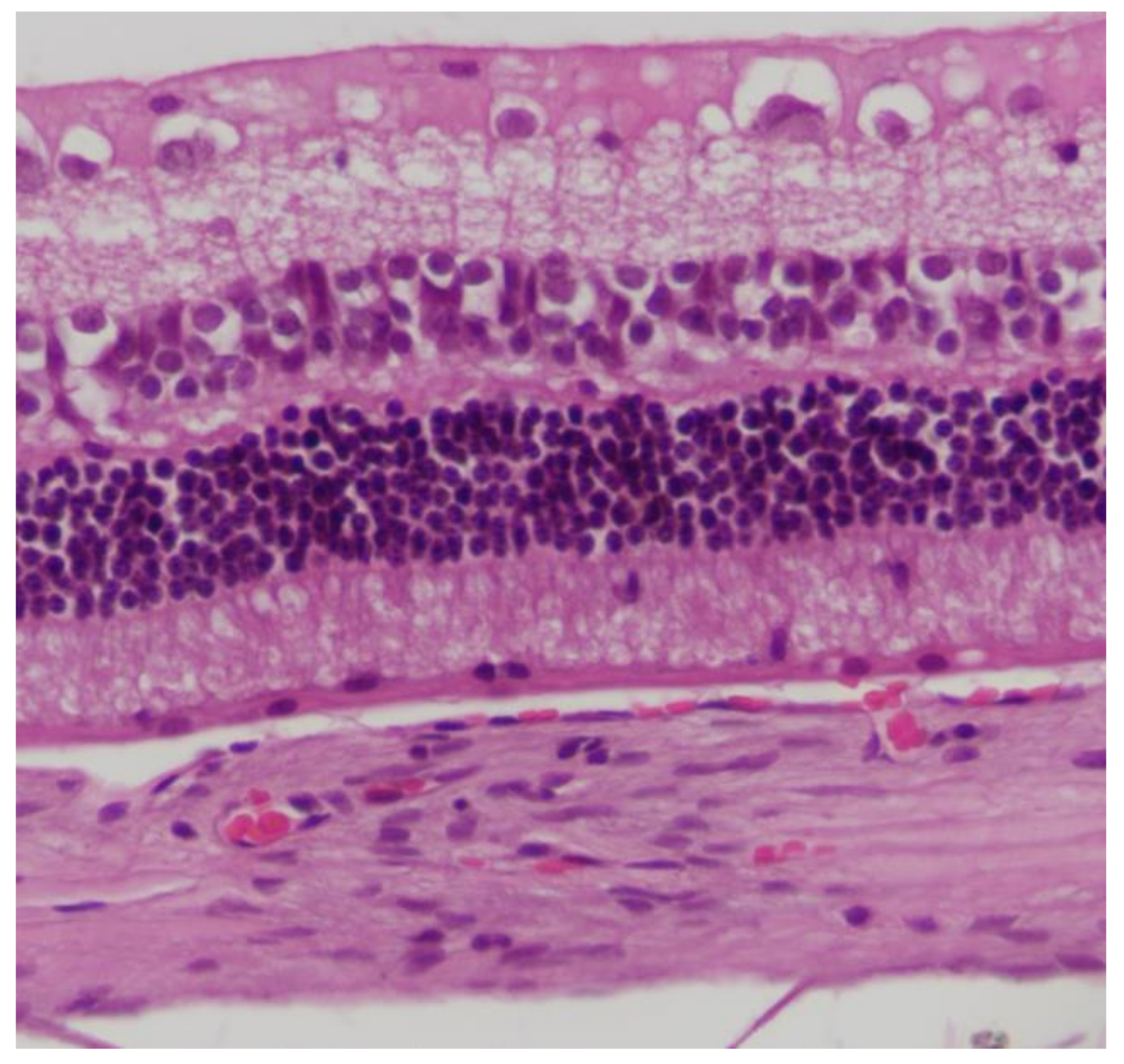 Pharmaceuticals 13 00267 g001 Pharmaceuticals 13 00267 g001