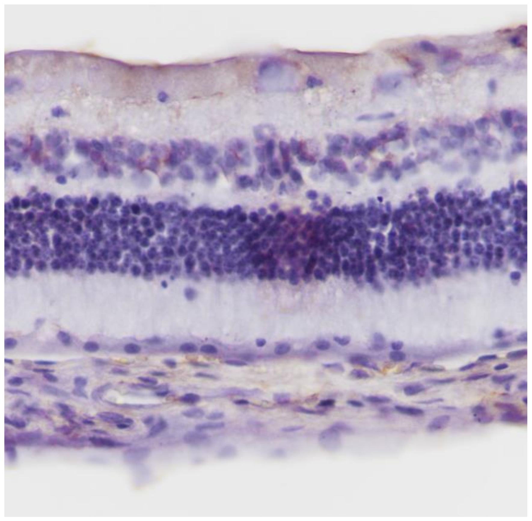 Pharmaceuticals 13 00267 g002 Pharmaceuticals 13 00267 g002