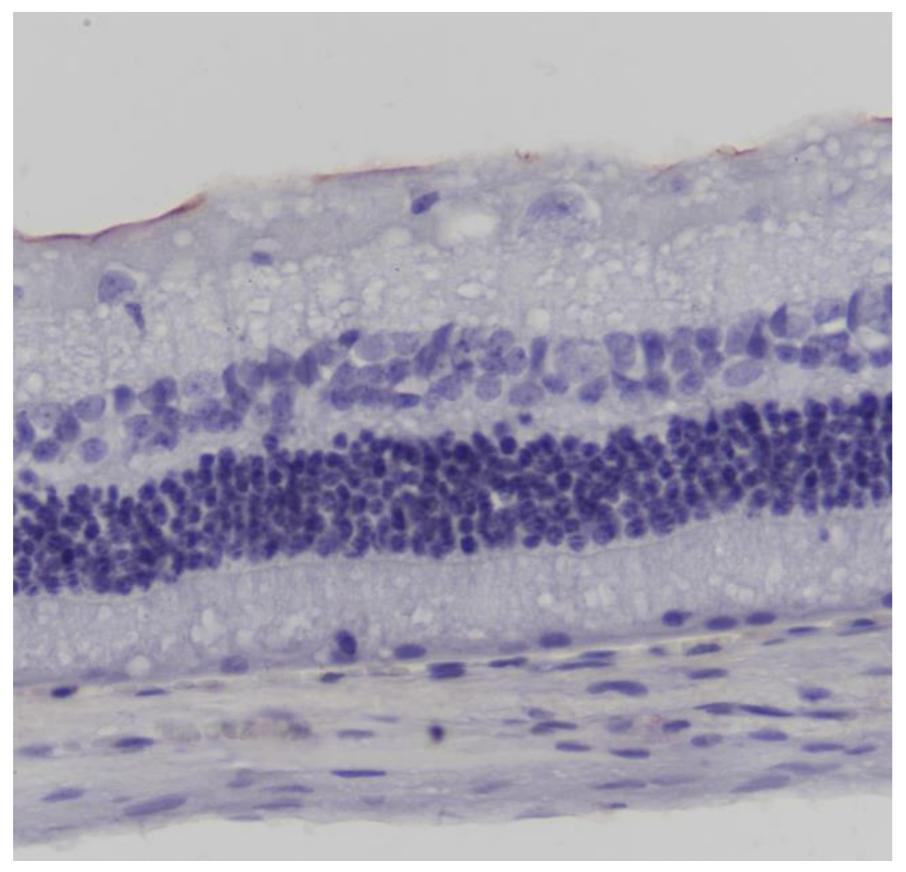 Pharmaceuticals 13 00267 g003 Pharmaceuticals 13 00267 g003