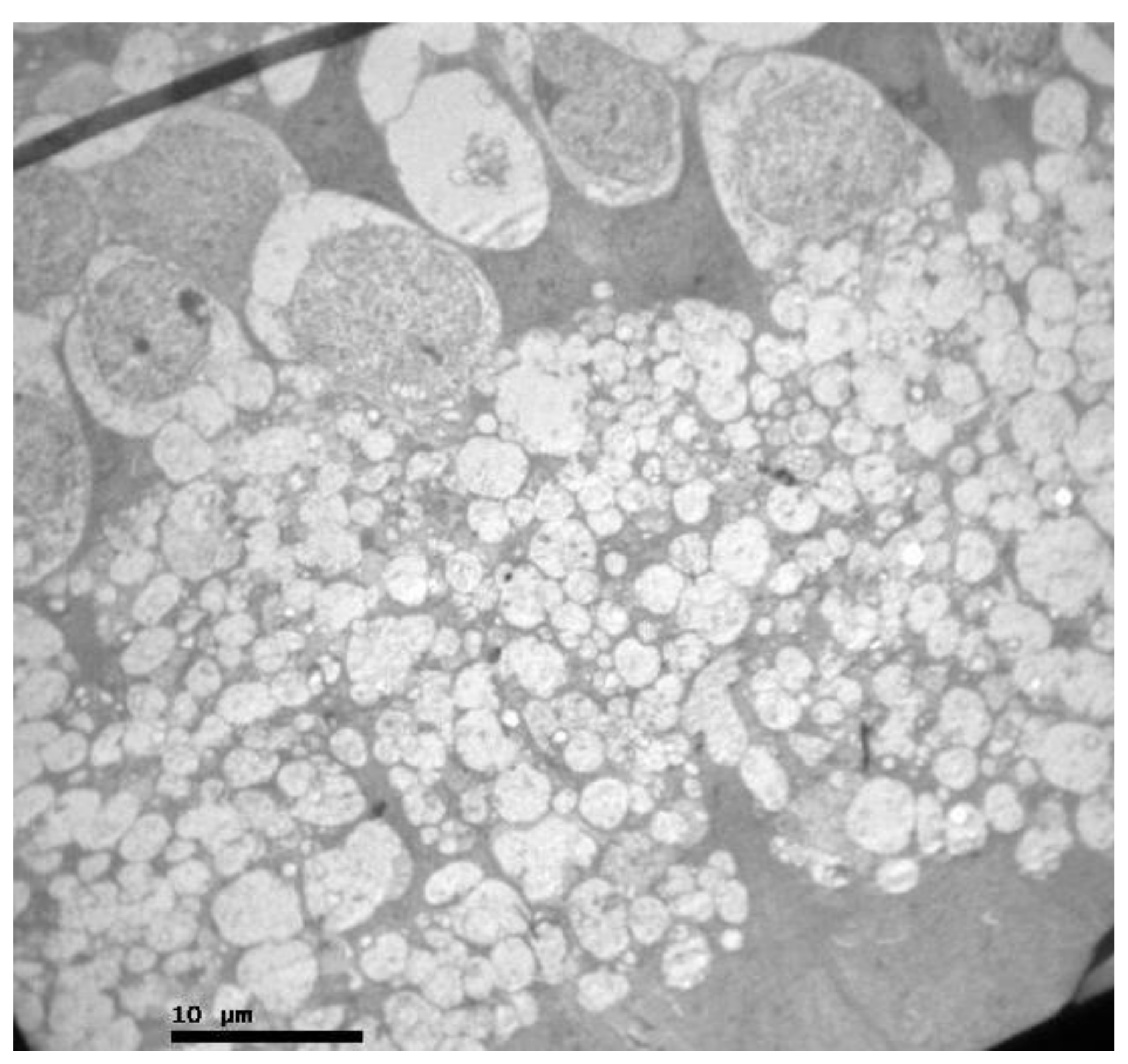 Pharmaceuticals 13 00267 g004 Pharmaceuticals 13 00267 g004