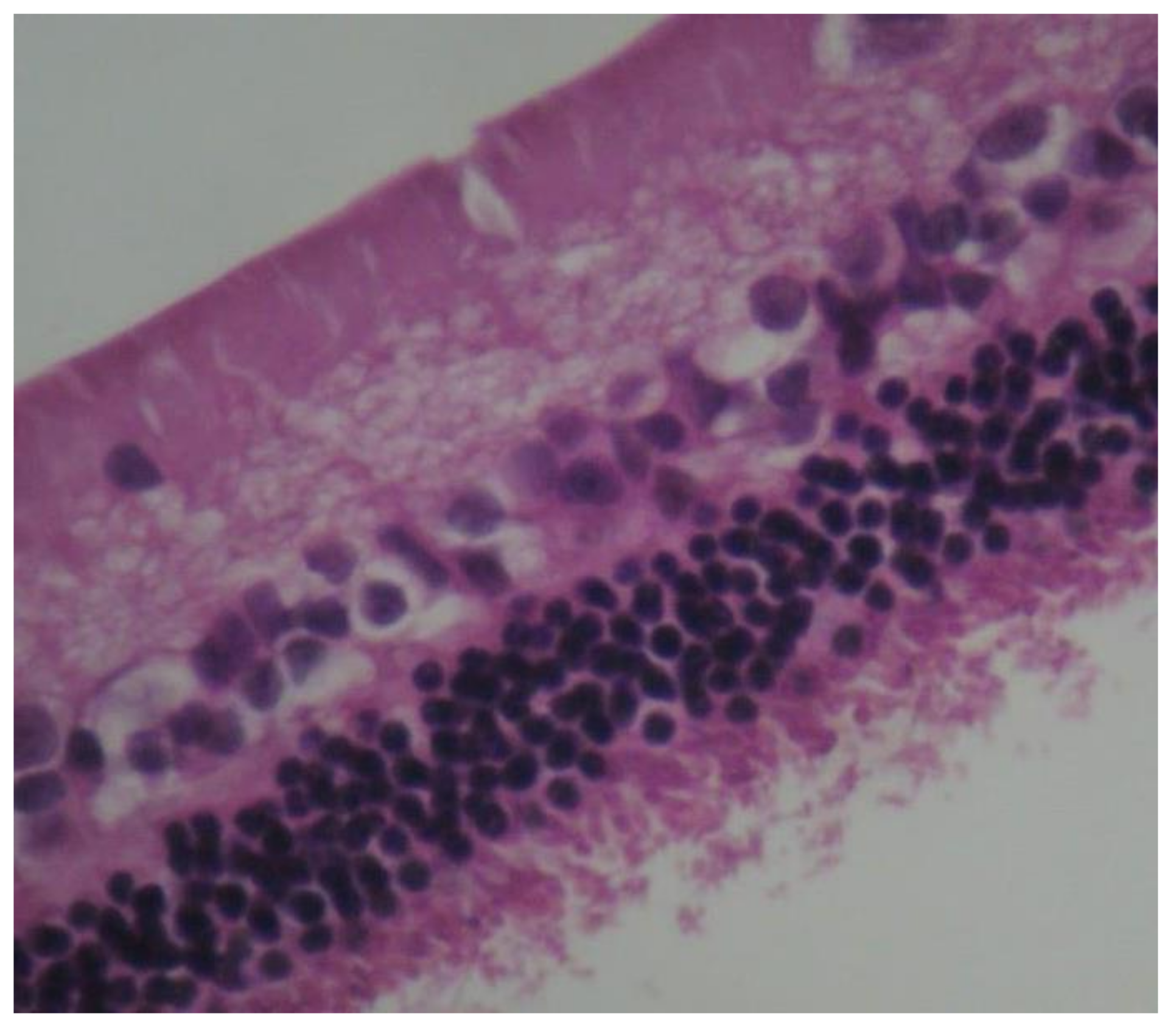 Pharmaceuticals 13 00267 g006 Pharmaceuticals 13 00267 g006