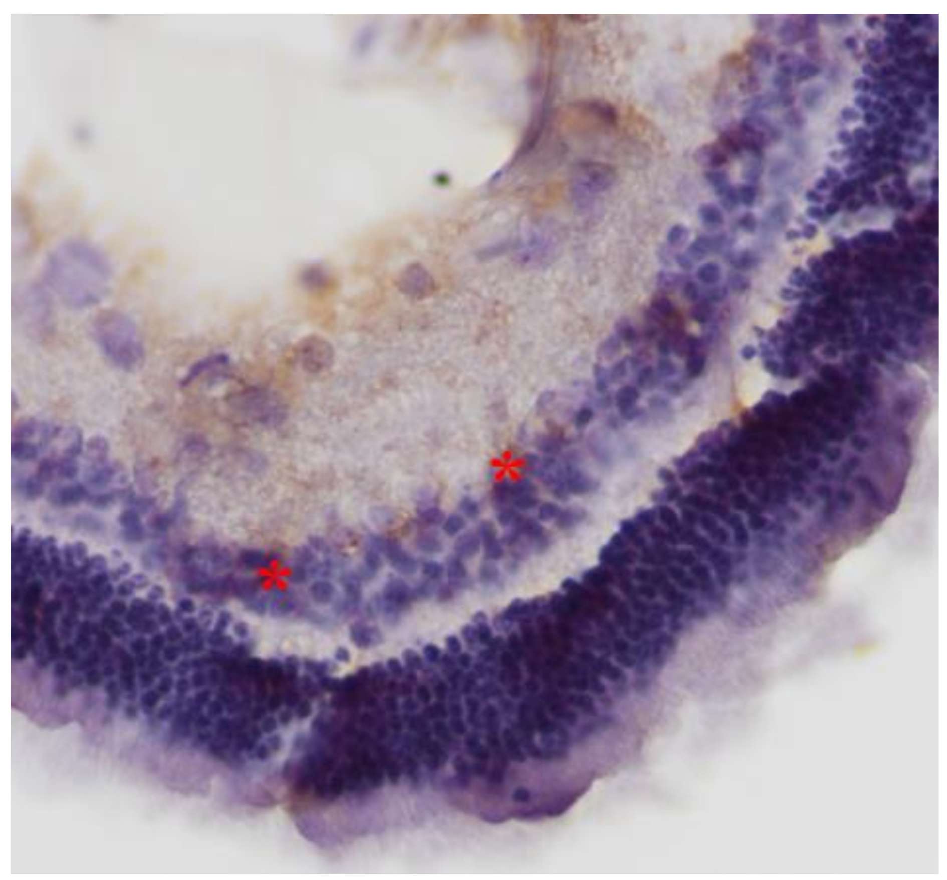 Pharmaceuticals 13 00267 g007 Pharmaceuticals 13 00267 g007