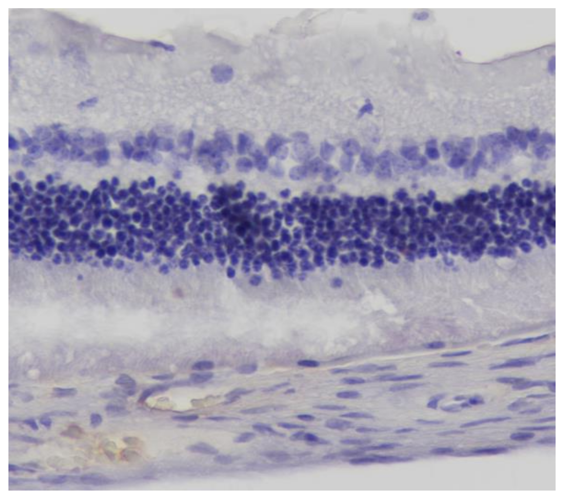 Pharmaceuticals 13 00267 g008 Pharmaceuticals 13 00267 g008