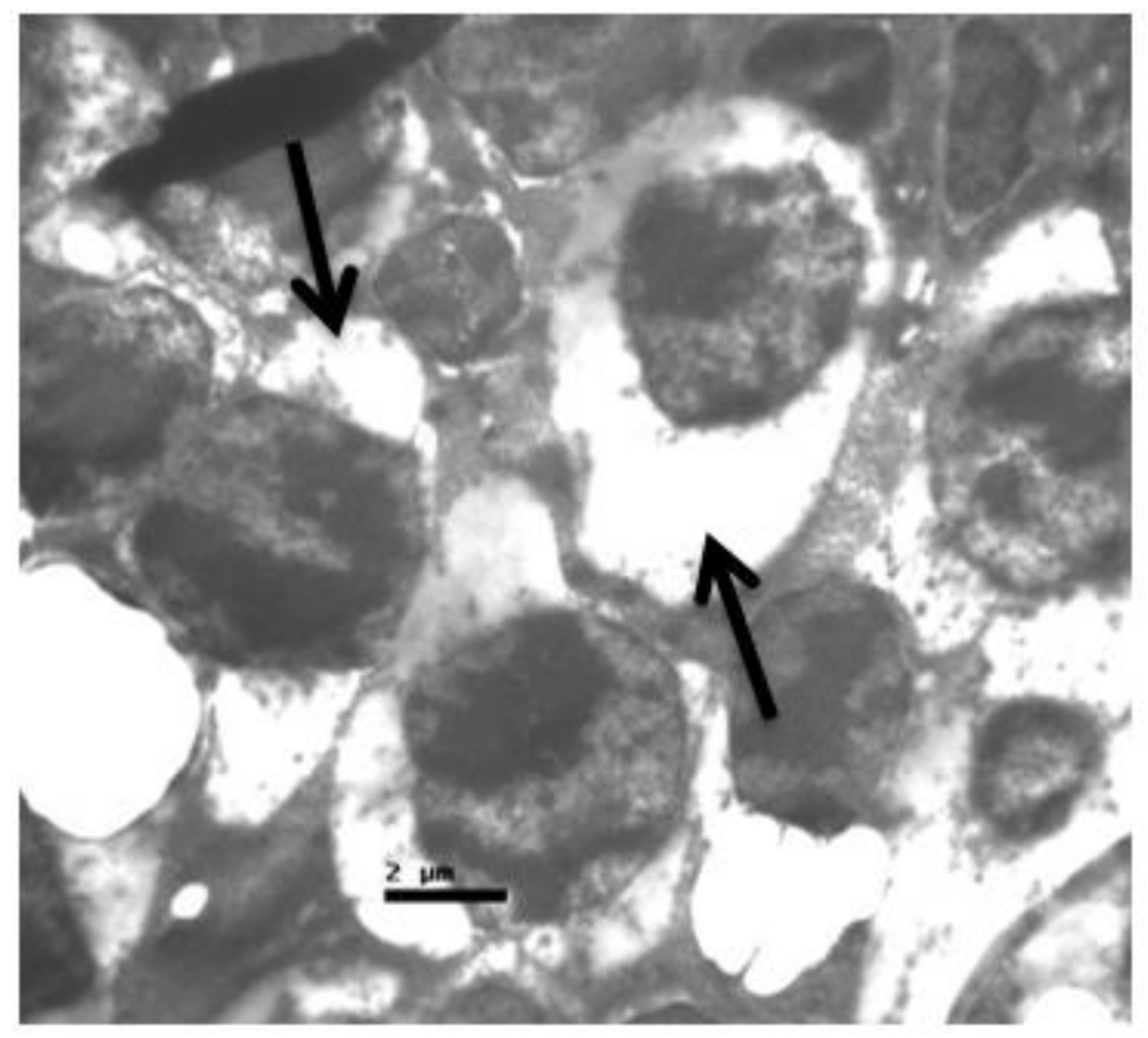 Pharmaceuticals 13 00267 g009 Pharmaceuticals 13 00267 g009