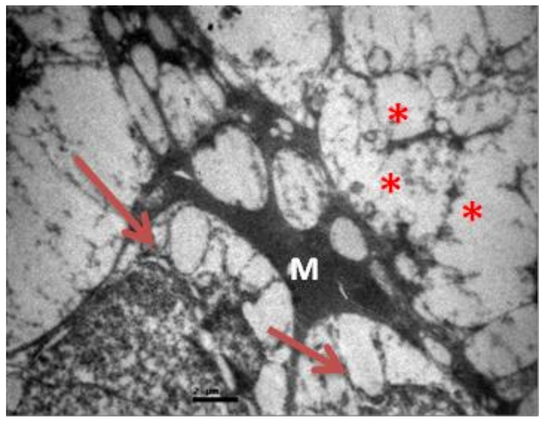 Pharmaceuticals 13 00267 g010 Pharmaceuticals 13 00267 g010