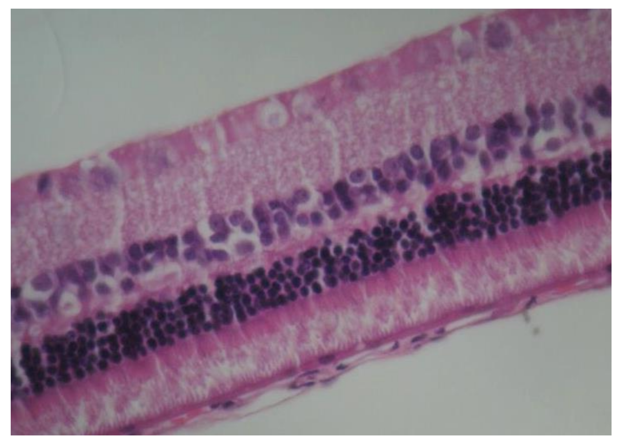 Pharmaceuticals 13 00267 g012 Pharmaceuticals 13 00267 g012