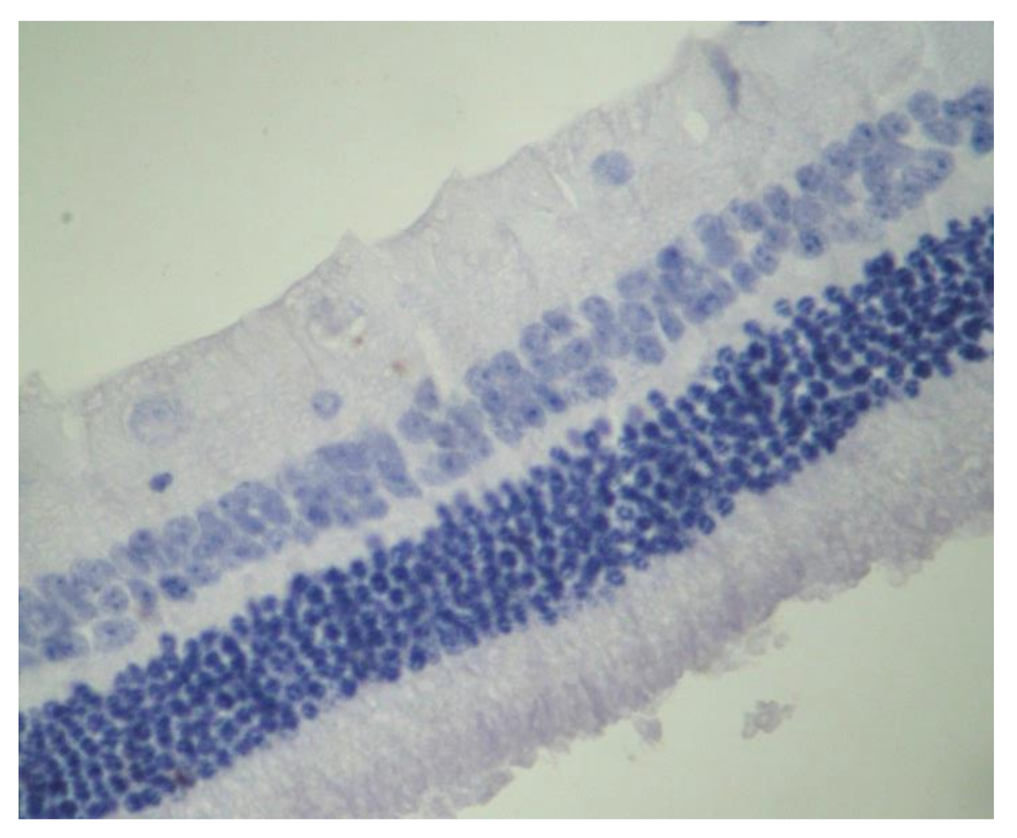 Pharmaceuticals 13 00267 g014 Pharmaceuticals 13 00267 g014