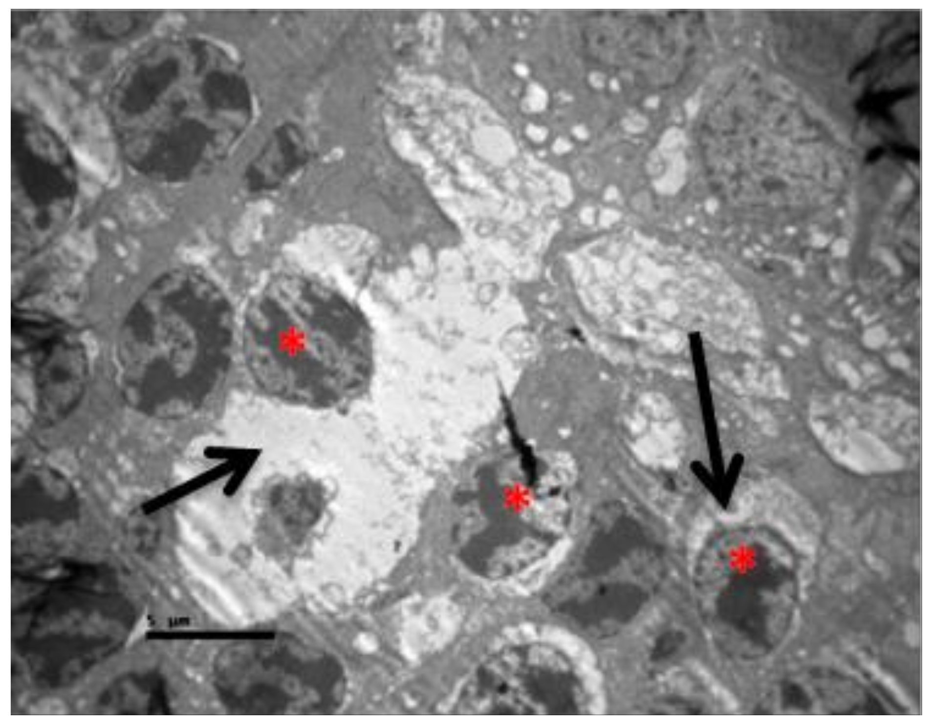 Pharmaceuticals 13 00267 g016 Pharmaceuticals 13 00267 g016