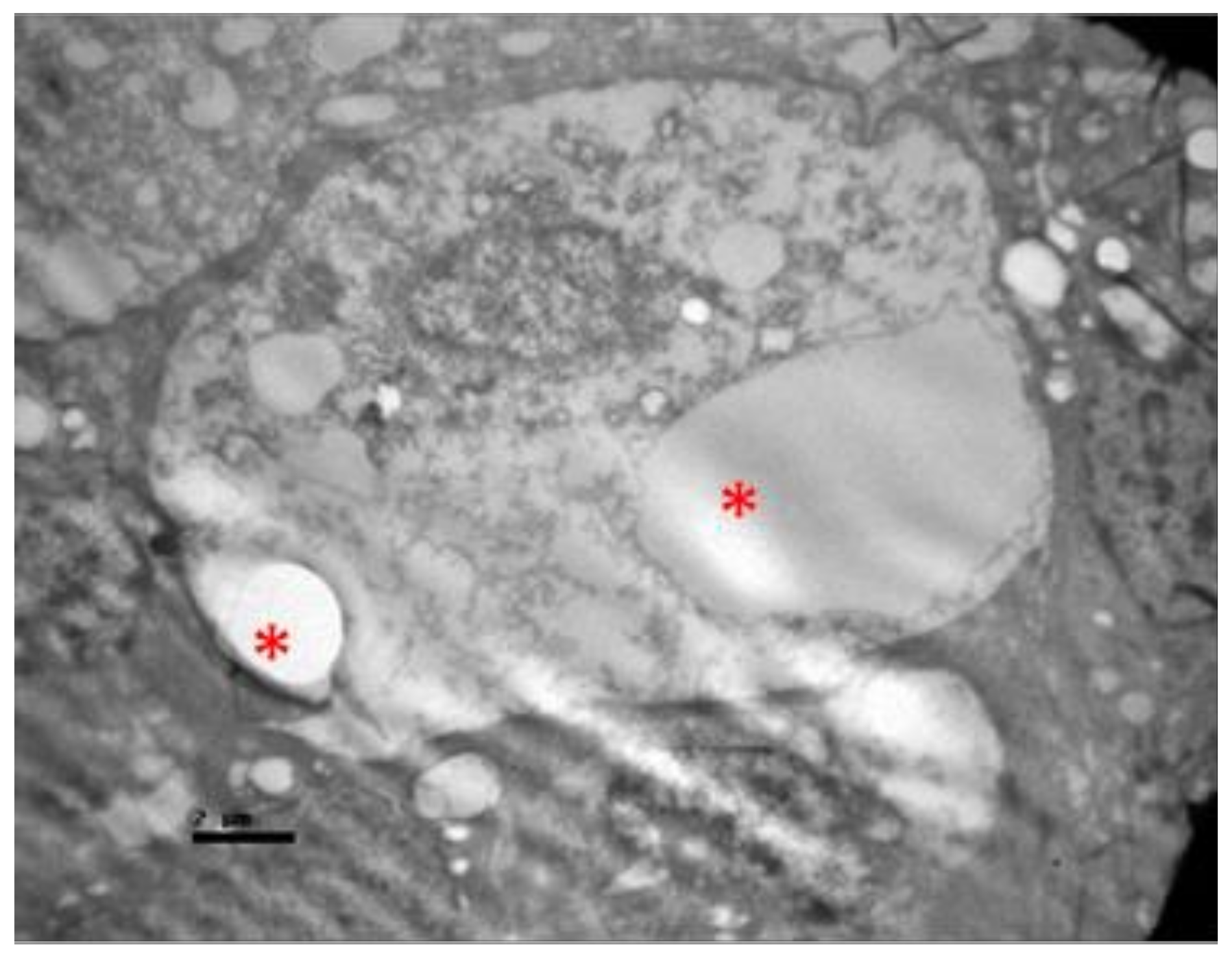 Pharmaceuticals 13 00267 g017 Pharmaceuticals 13 00267 g017