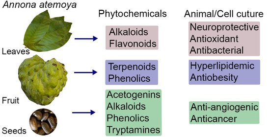 Pharmaceuticals  Free FullText  The Phytochemical Constituents and