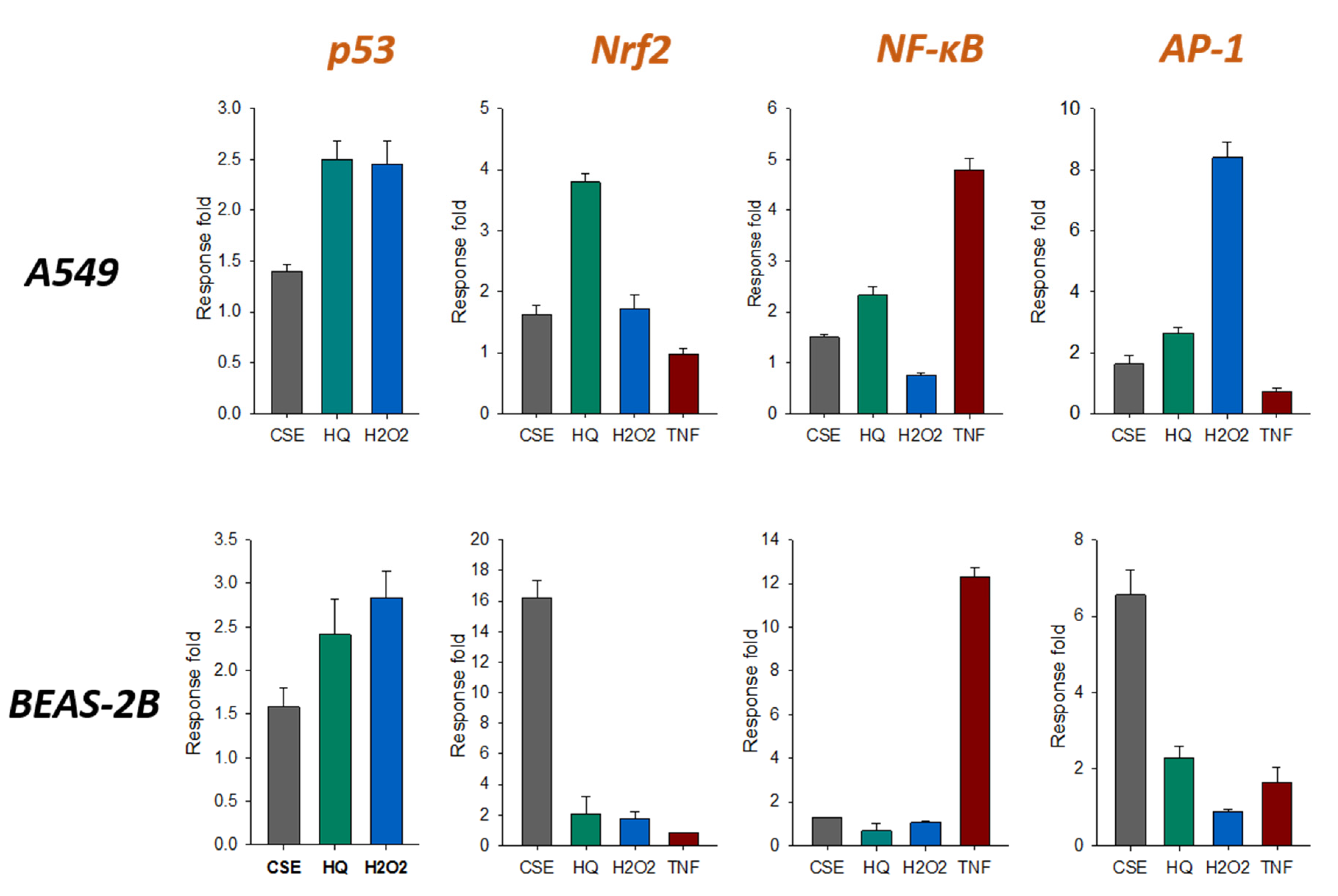 Pharmaceuticals 13 00270 g006 Pharmaceuticals 13 00270 g006