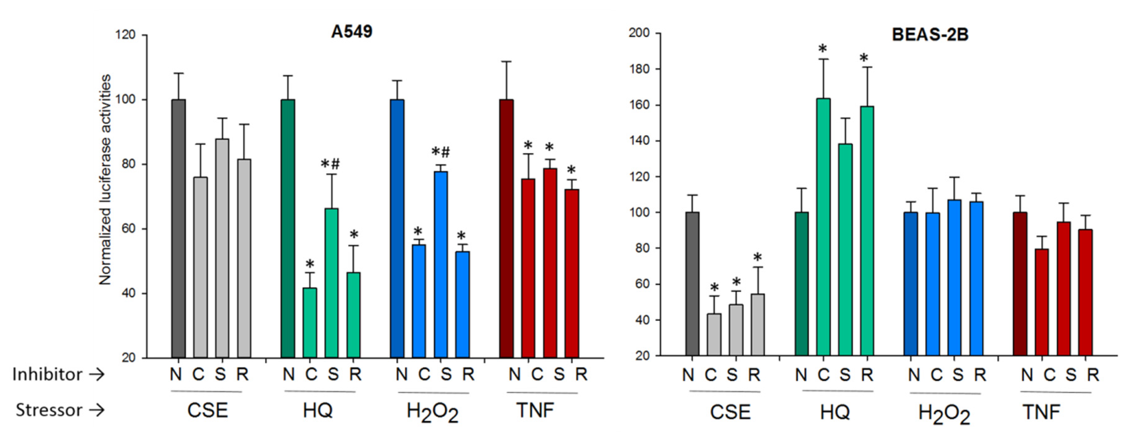 Pharmaceuticals 13 00270 g010 Pharmaceuticals 13 00270 g010