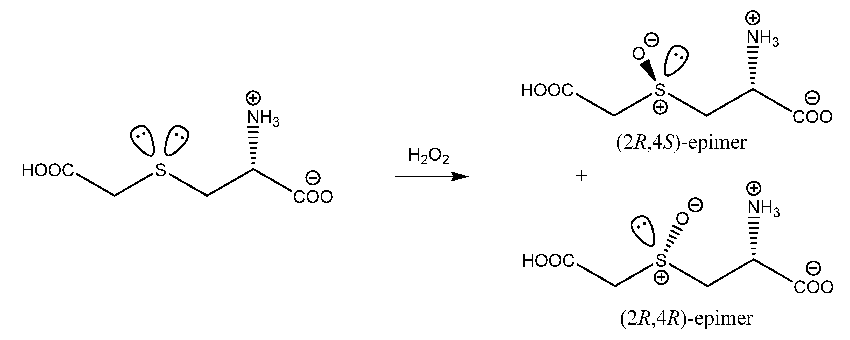 Pharmaceuticals 13 00270 sch001 Pharmaceuticals 13 00270 sch001