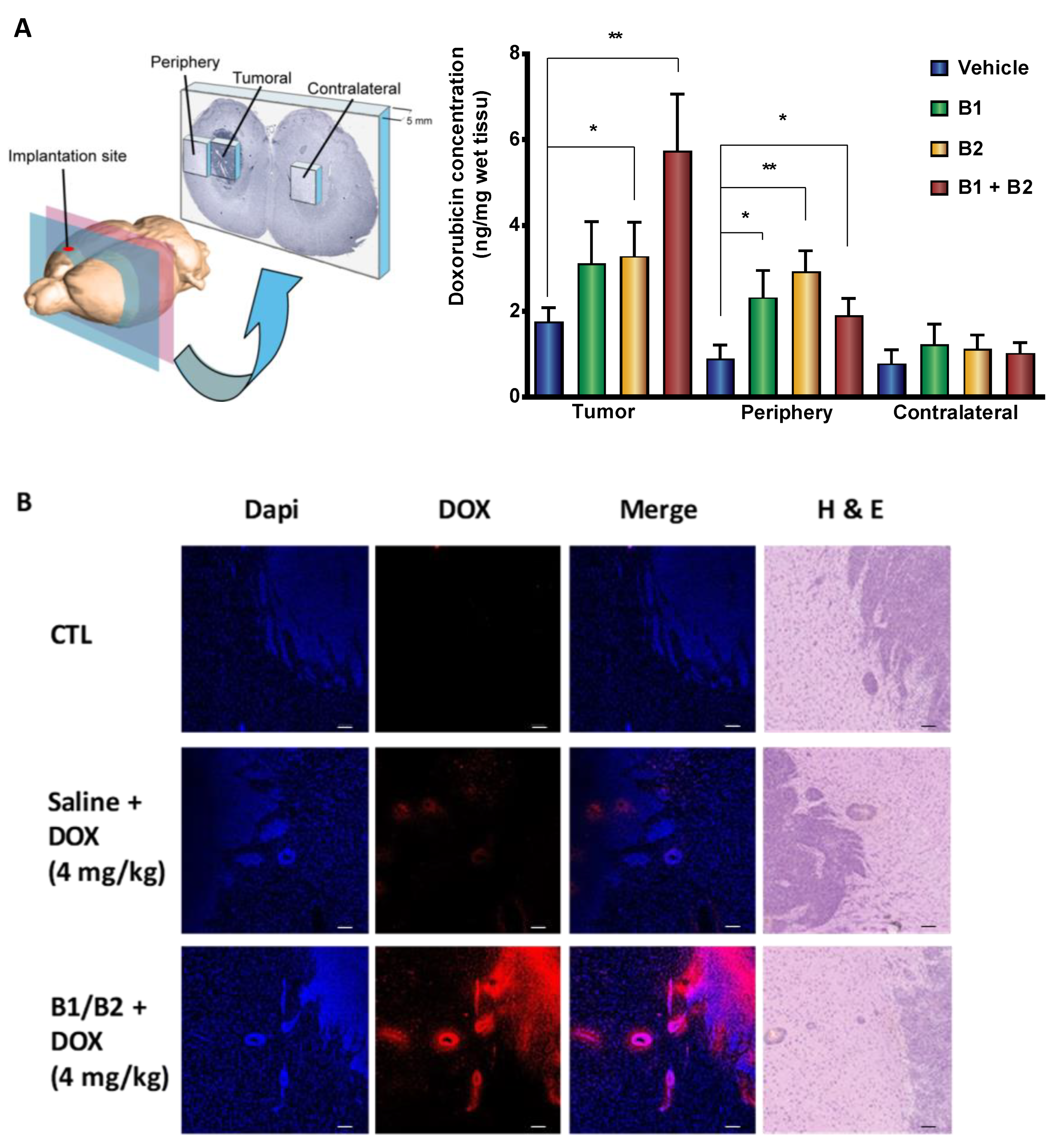 Pharmaceuticals 13 00279 g001