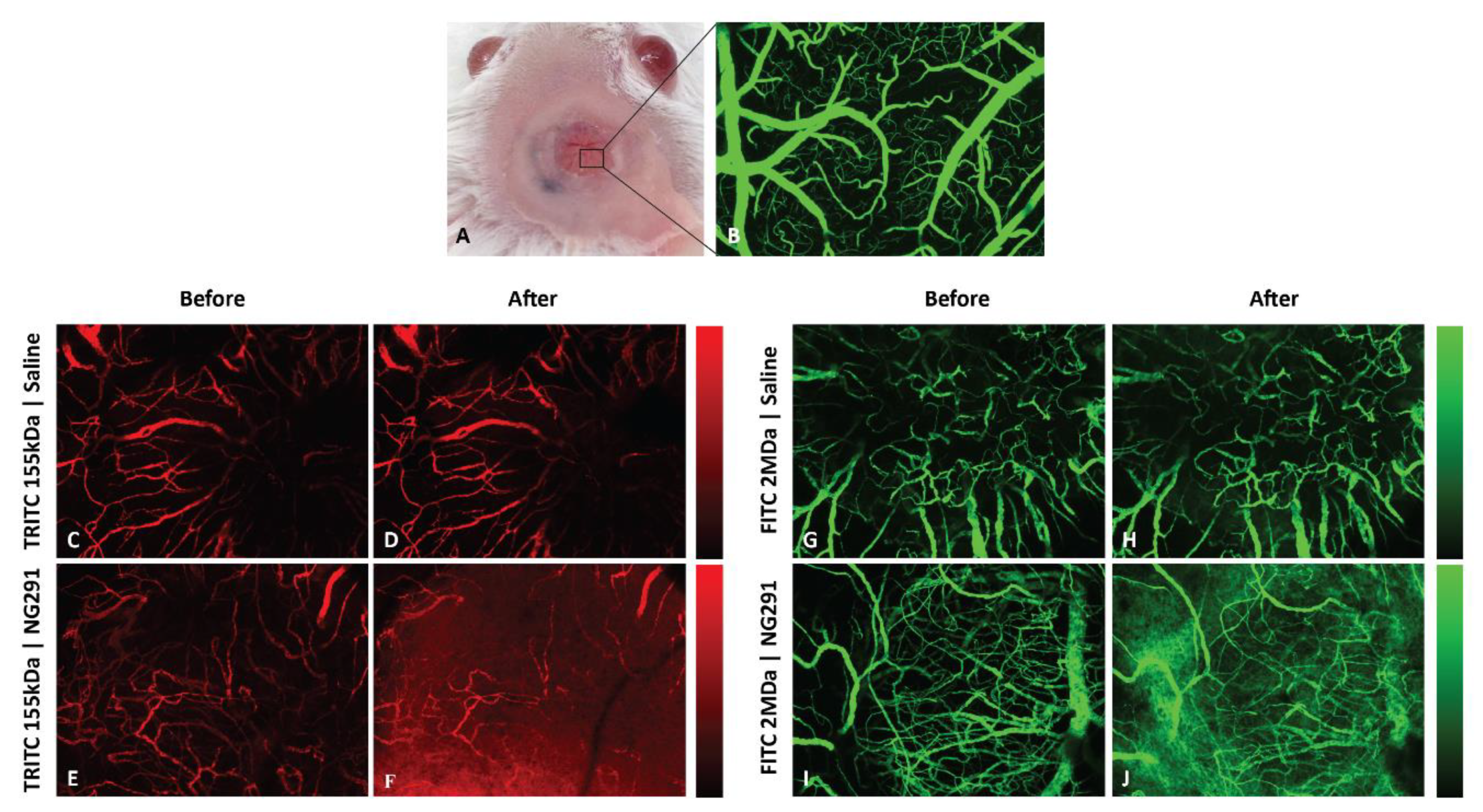 Pharmaceuticals 13 00279 g002