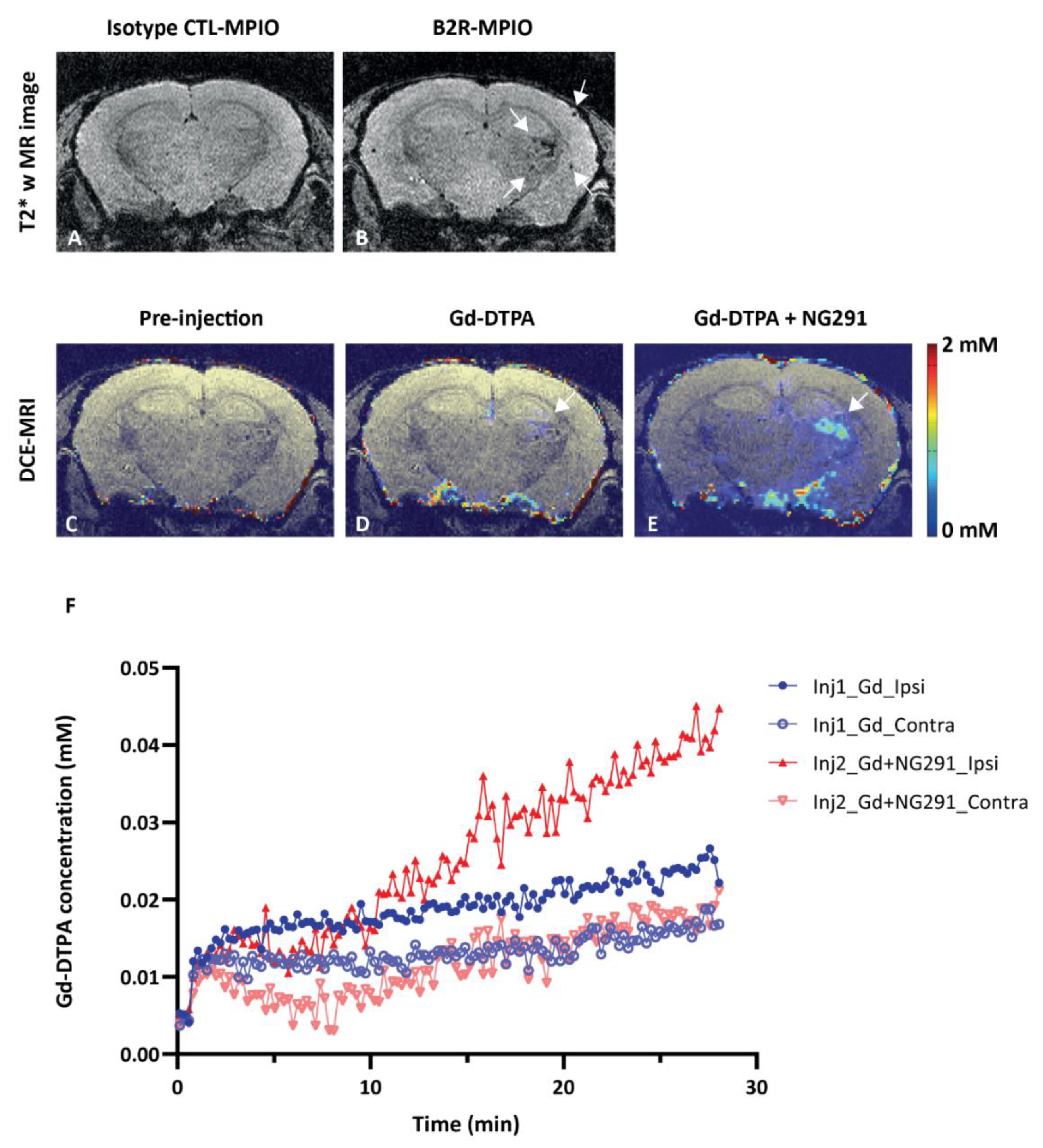 Pharmaceuticals 13 00279 g005