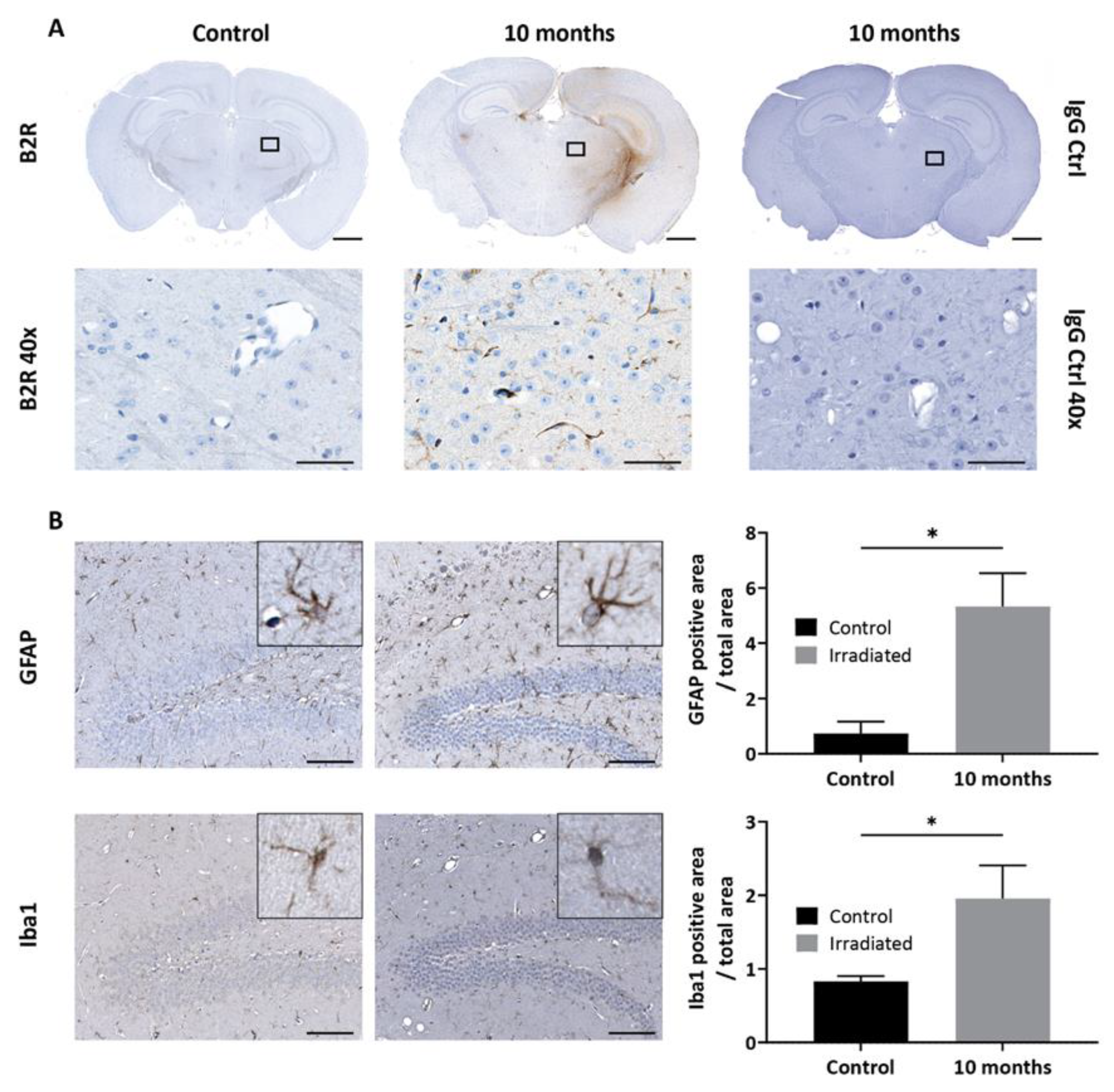 Pharmaceuticals 13 00279 g006