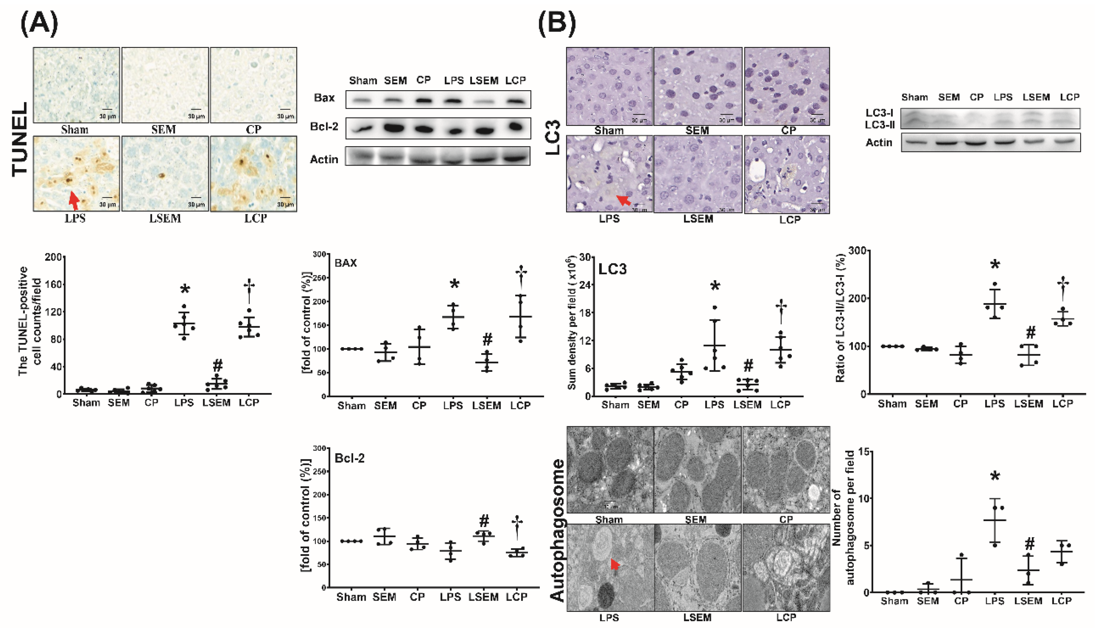 Pharmaceuticals 13 00280 g006 Pharmaceuticals 13 00280 g006