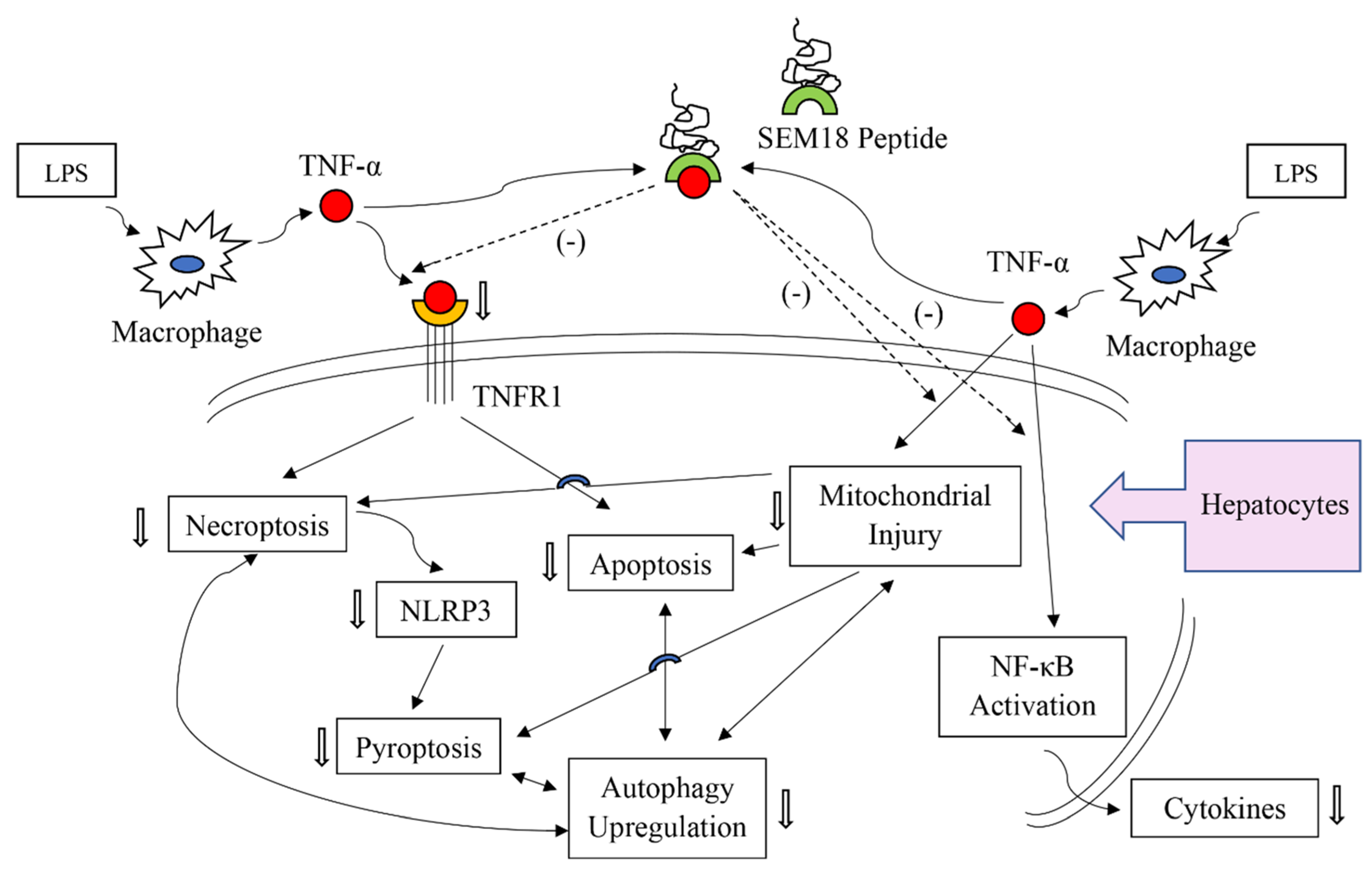 Pharmaceuticals 13 00280 g008 Pharmaceuticals 13 00280 g008