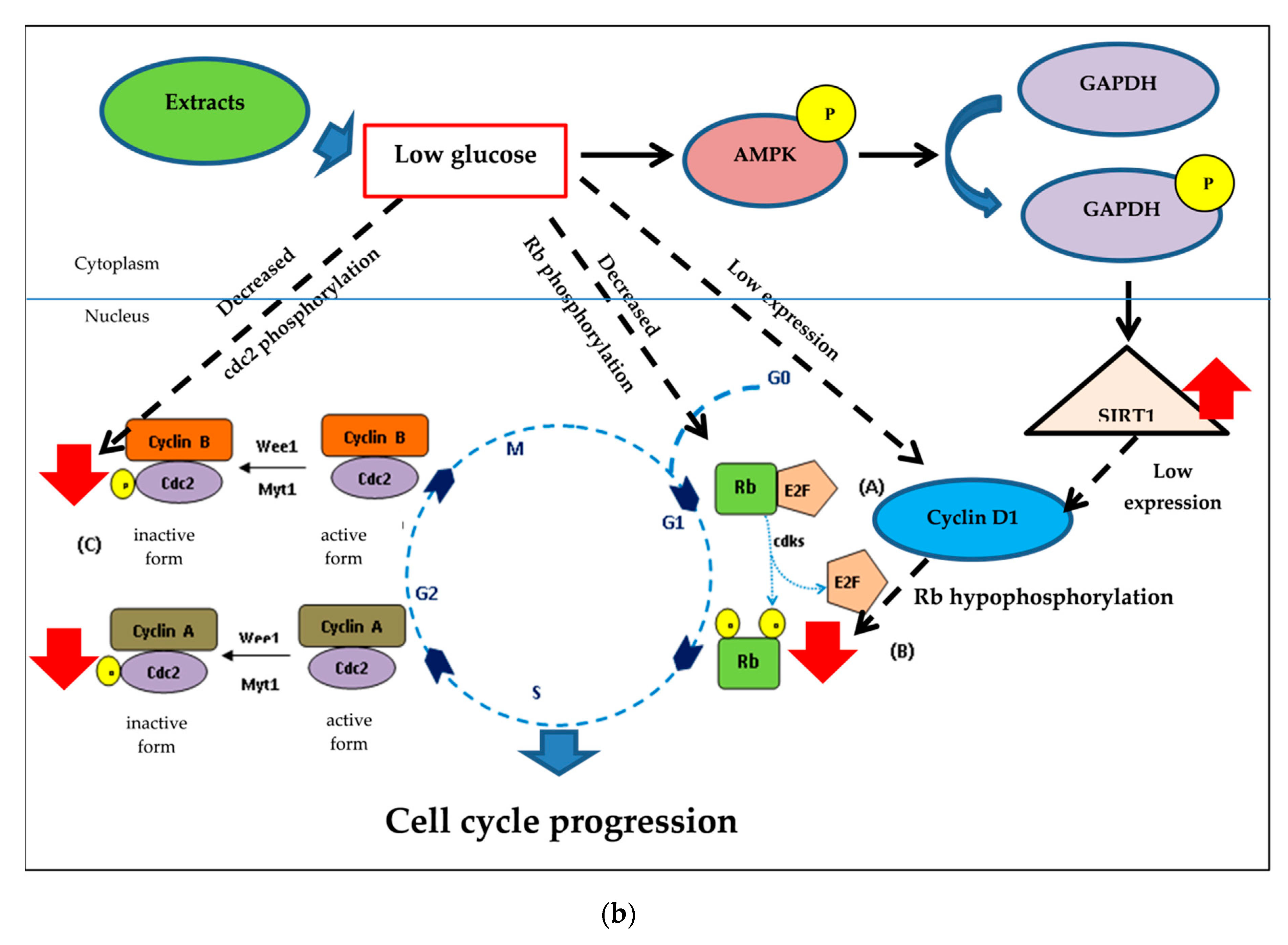 Pharmaceuticals 13 00283 g010b Pharmaceuticals 13 00283 g010b