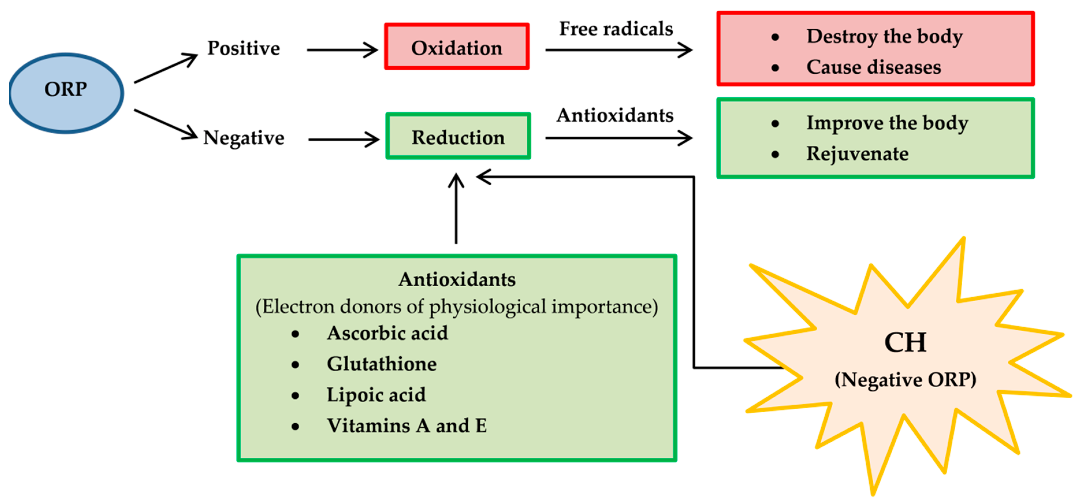 Pharmaceuticals 13 00283 g011 Pharmaceuticals 13 00283 g011