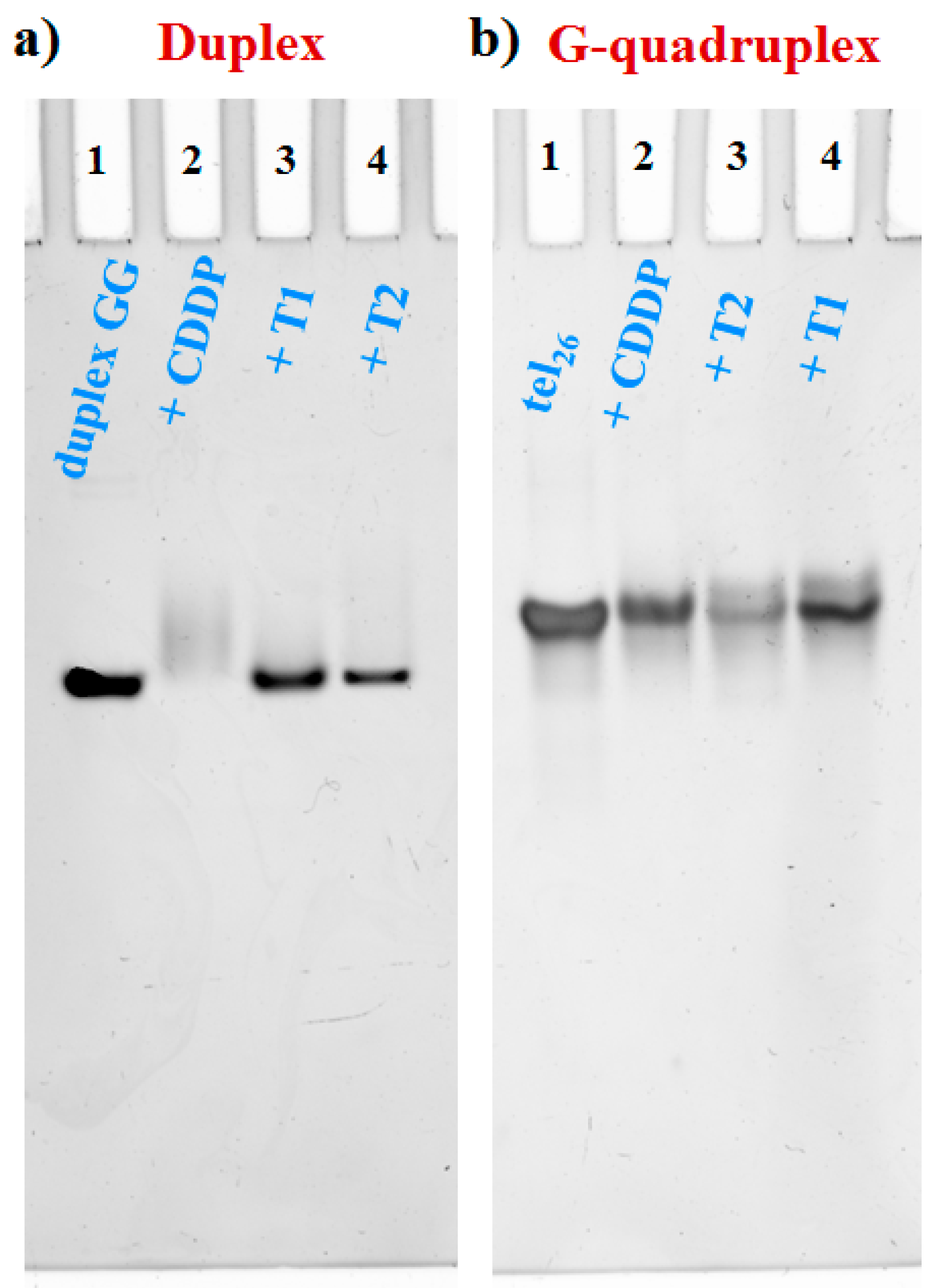 Pharmaceuticals 13 00284 g006 Pharmaceuticals 13 00284 g006