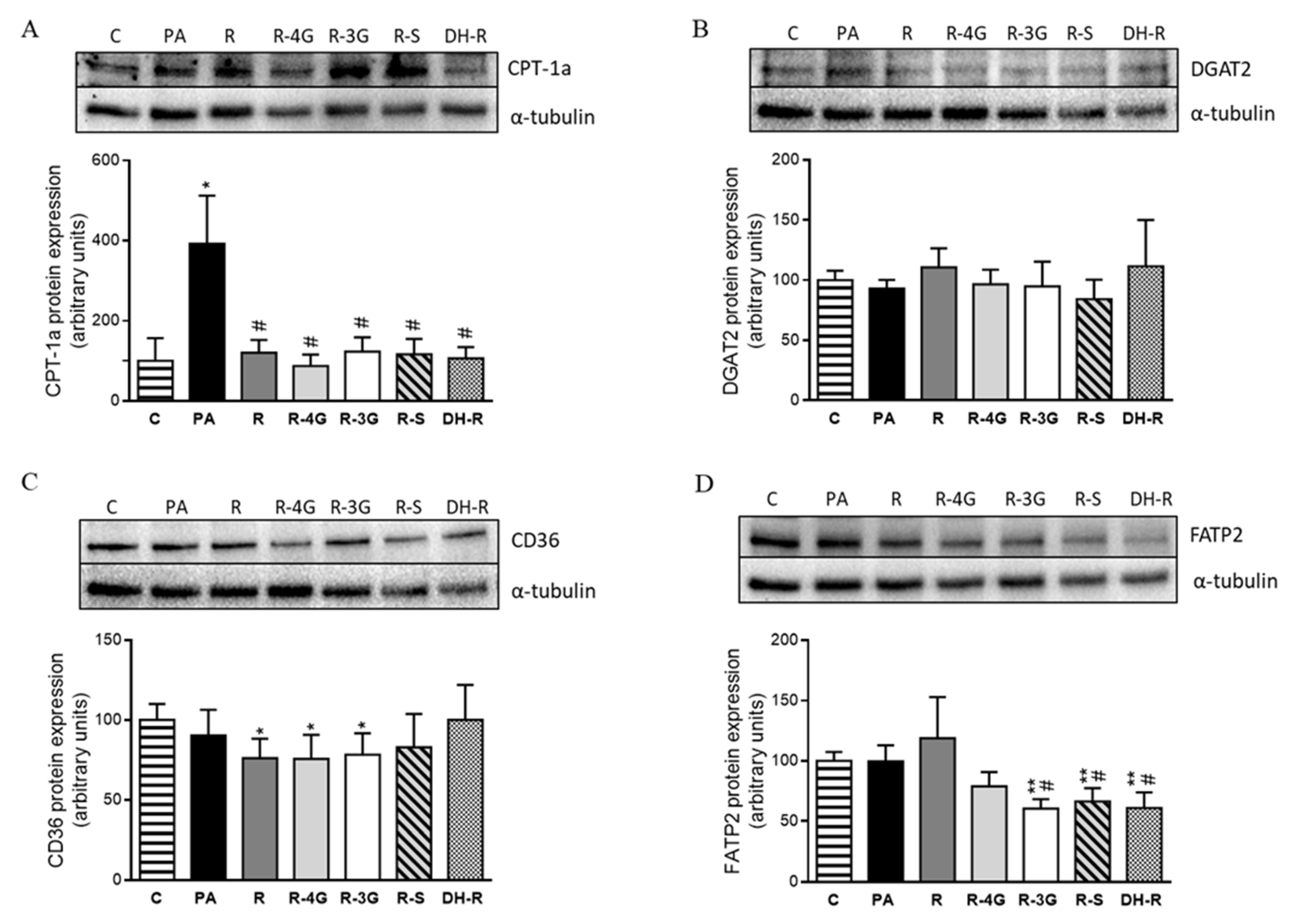 Pharmaceuticals 13 00285 g007