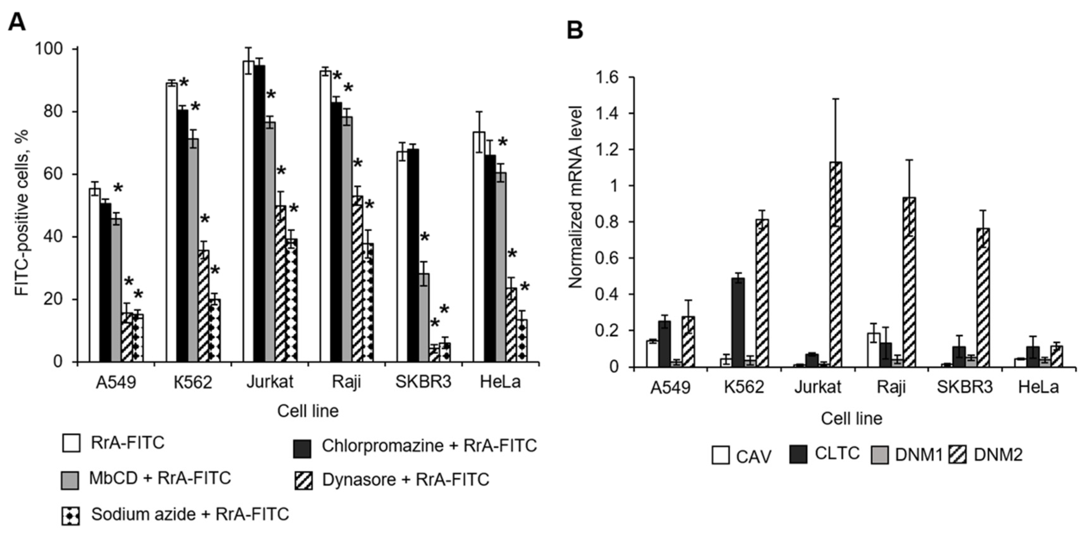 Pharmaceuticals 13 00286 g005