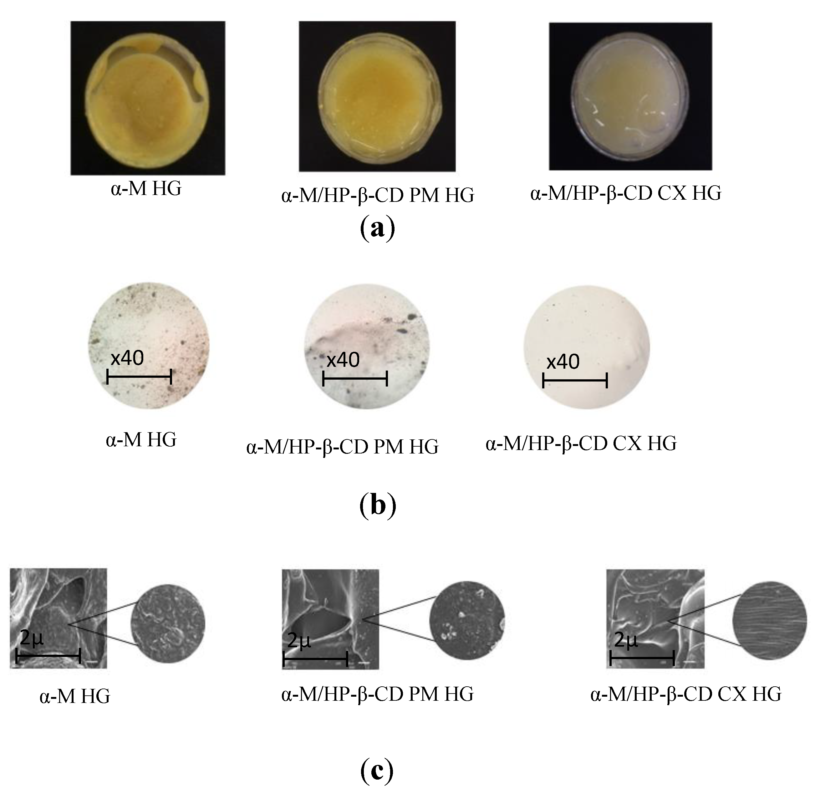 Pharmaceuticals 13 00290 g004