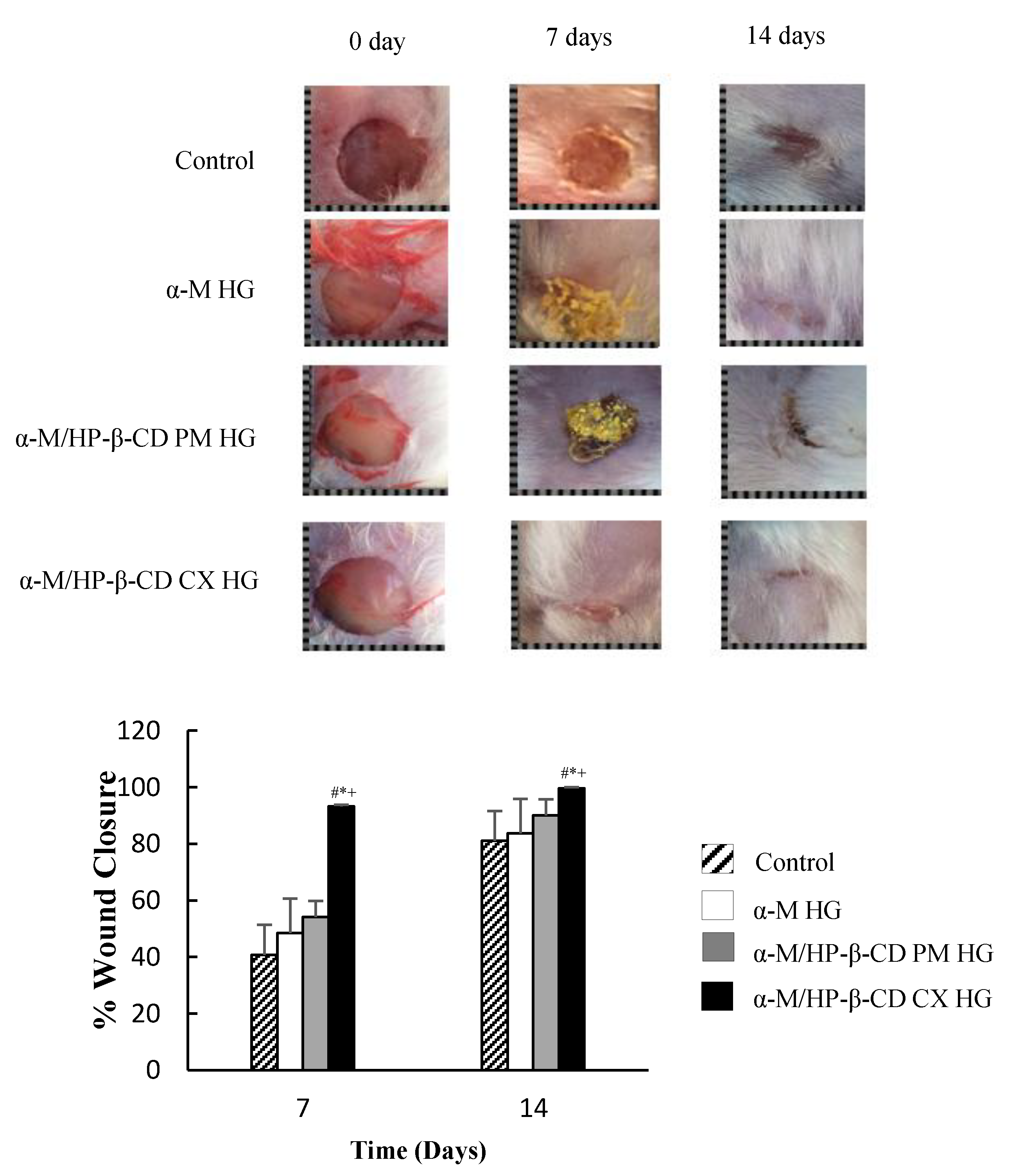 Pharmaceuticals 13 00290 g007