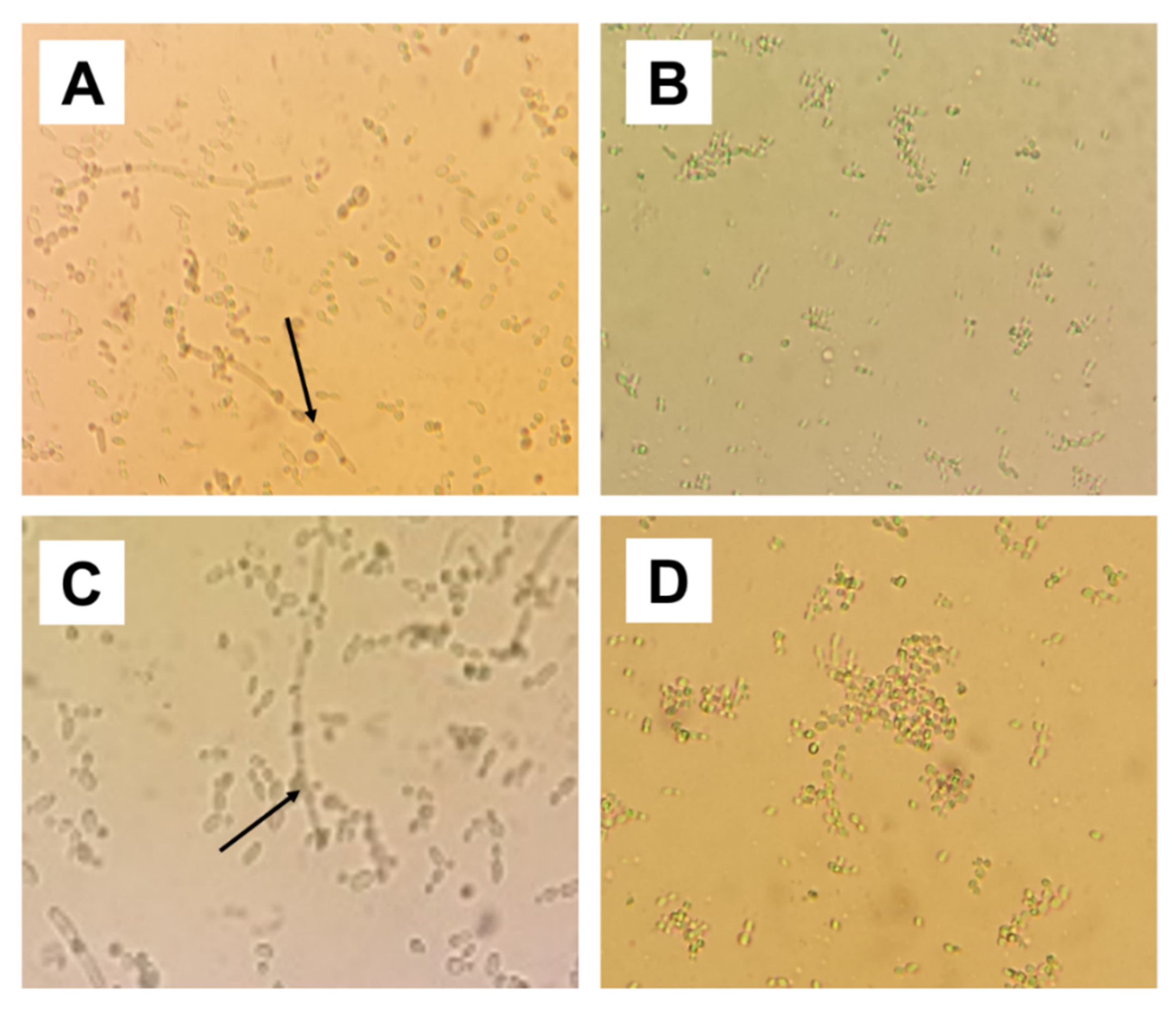 Pharmaceuticals 13 00291 g002 Pharmaceuticals 13 00291 g002