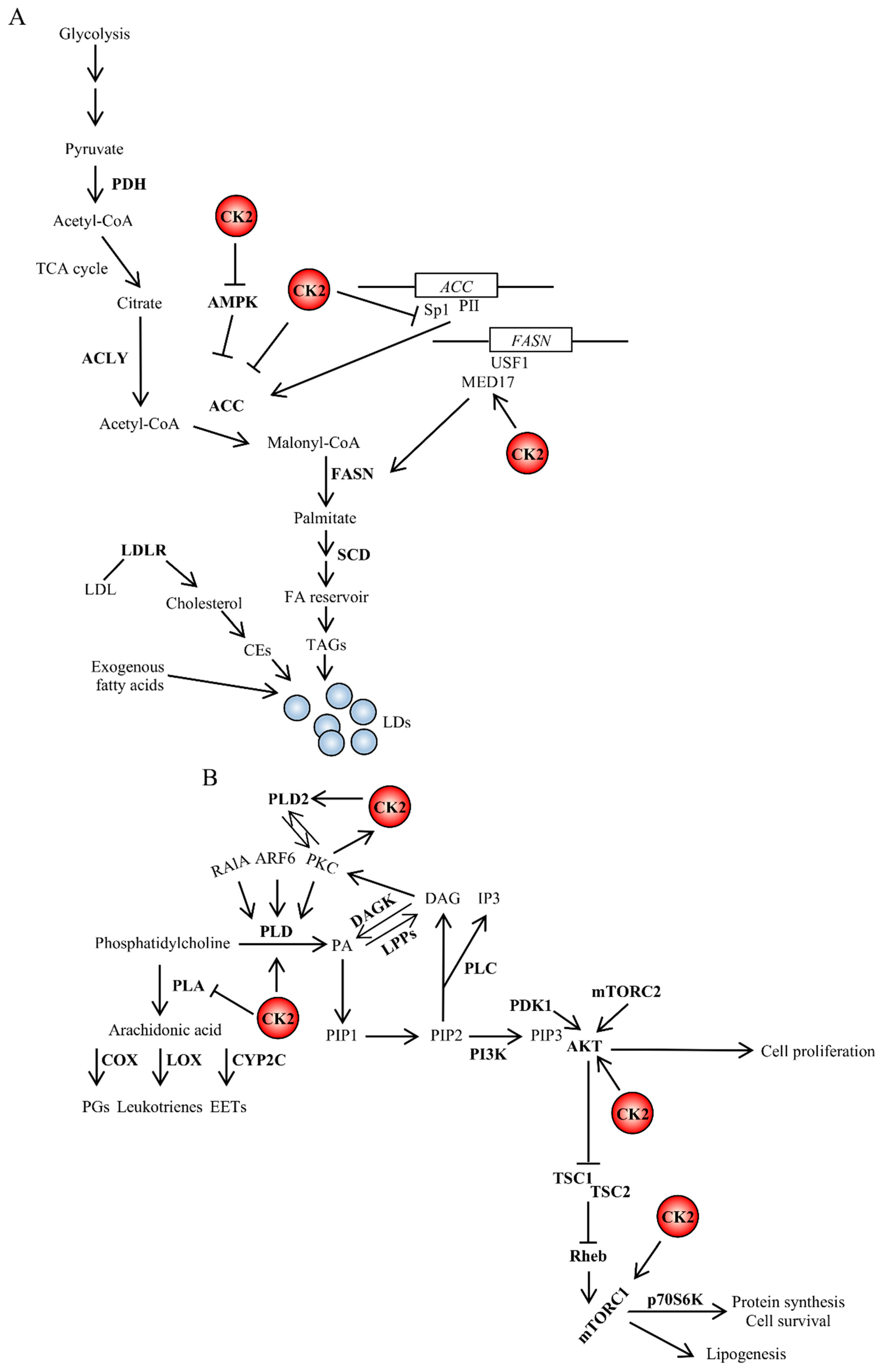 Pharmaceuticals 13 00292 g002 Pharmaceuticals 13 00292 g002