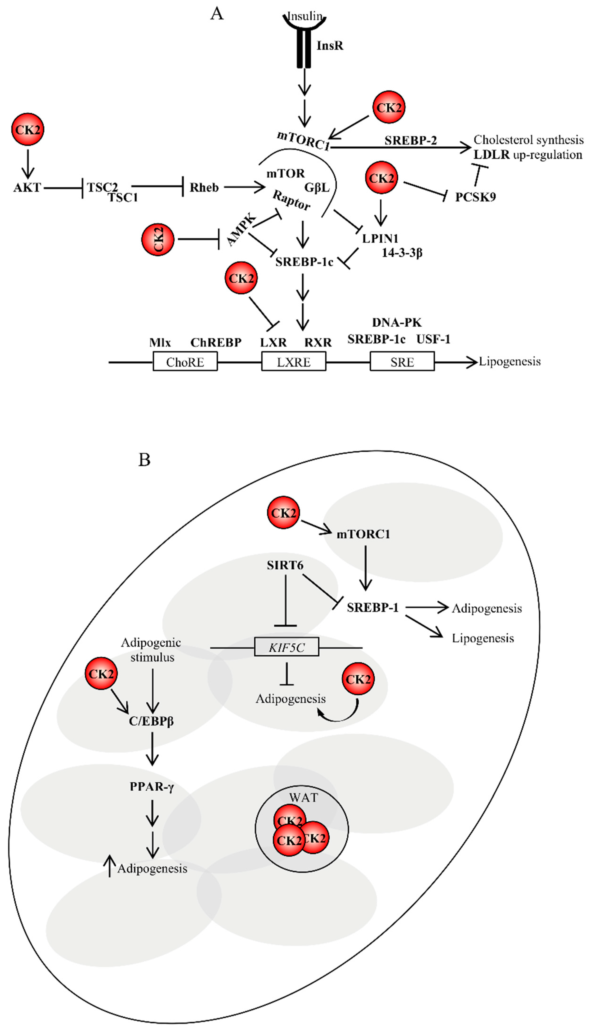Pharmaceuticals 13 00292 g003 Pharmaceuticals 13 00292 g003
