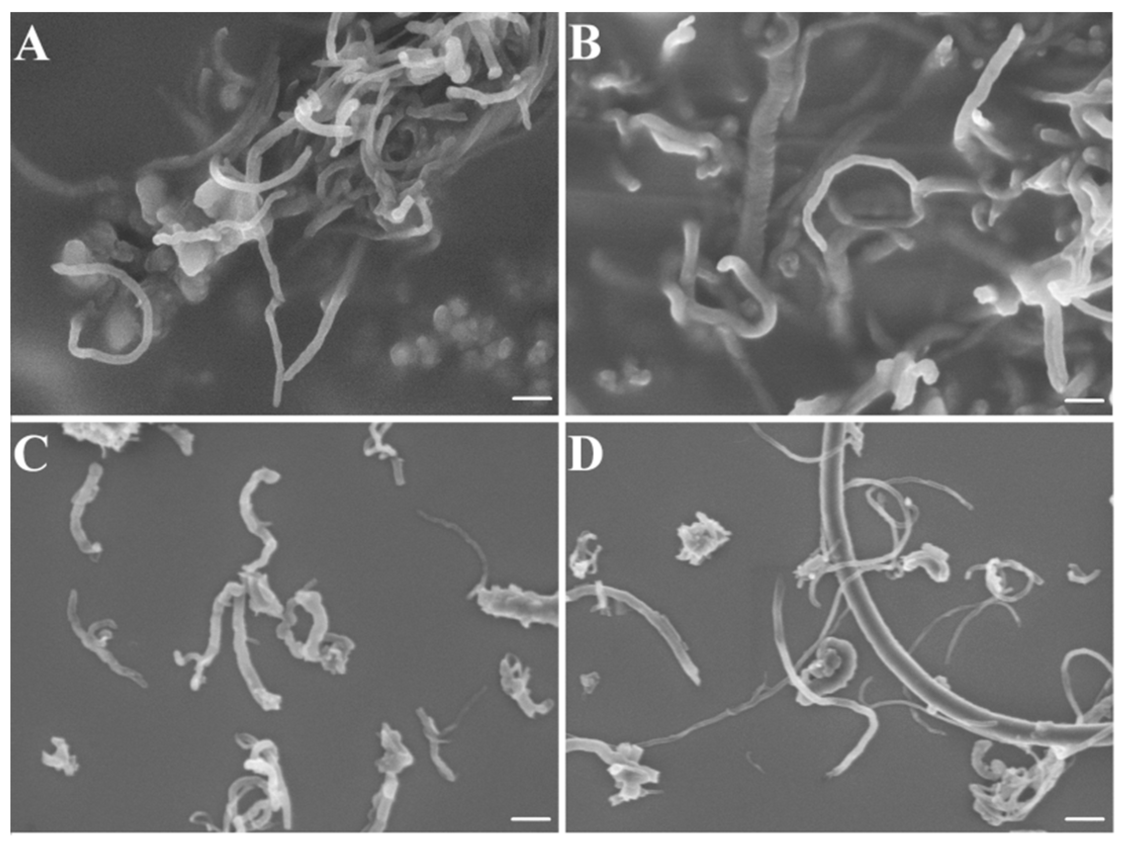 Pharmaceuticals 13 00293 g003 Pharmaceuticals 13 00293 g003