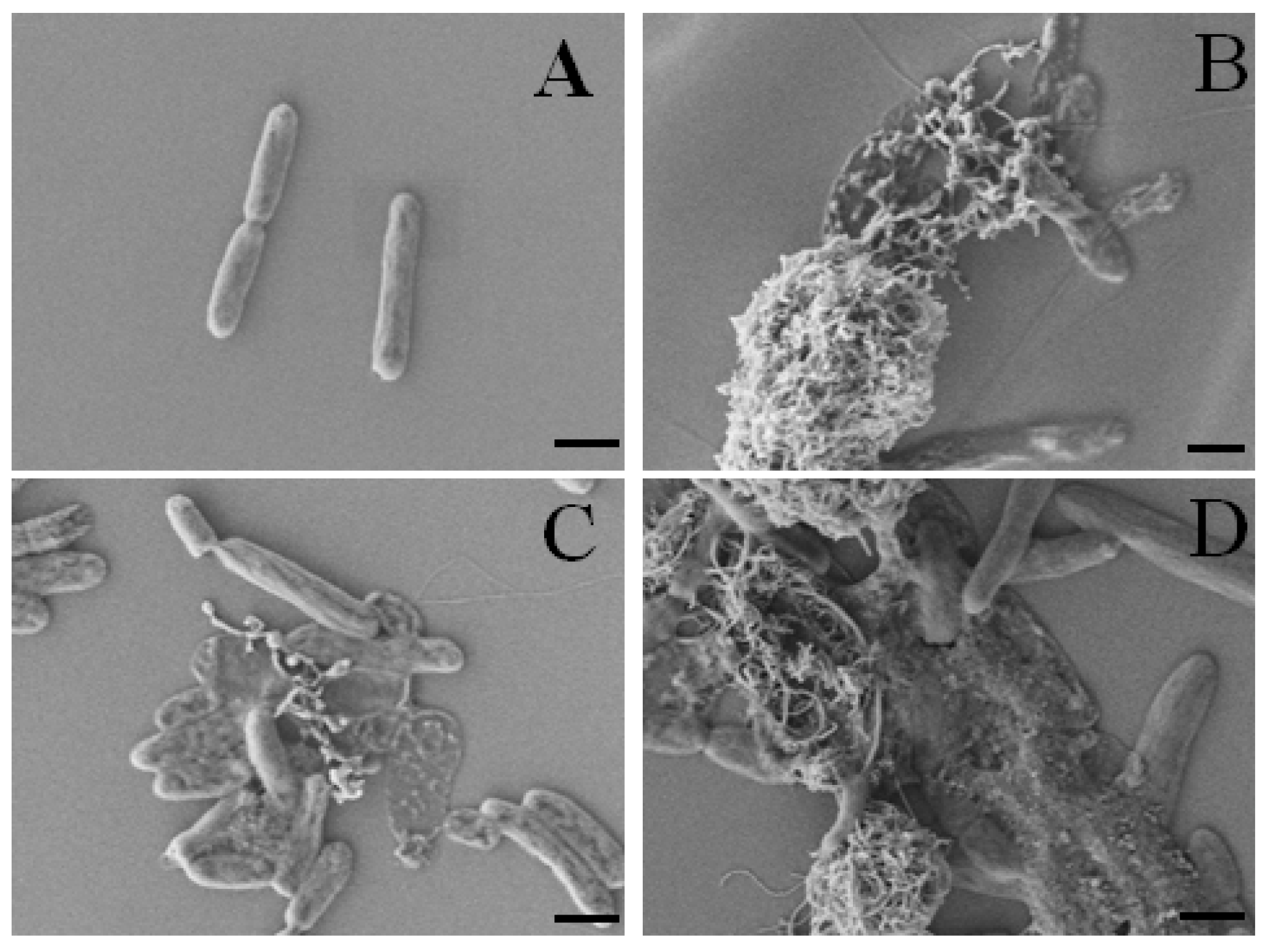 Pharmaceuticals 13 00293 g009 Pharmaceuticals 13 00293 g009