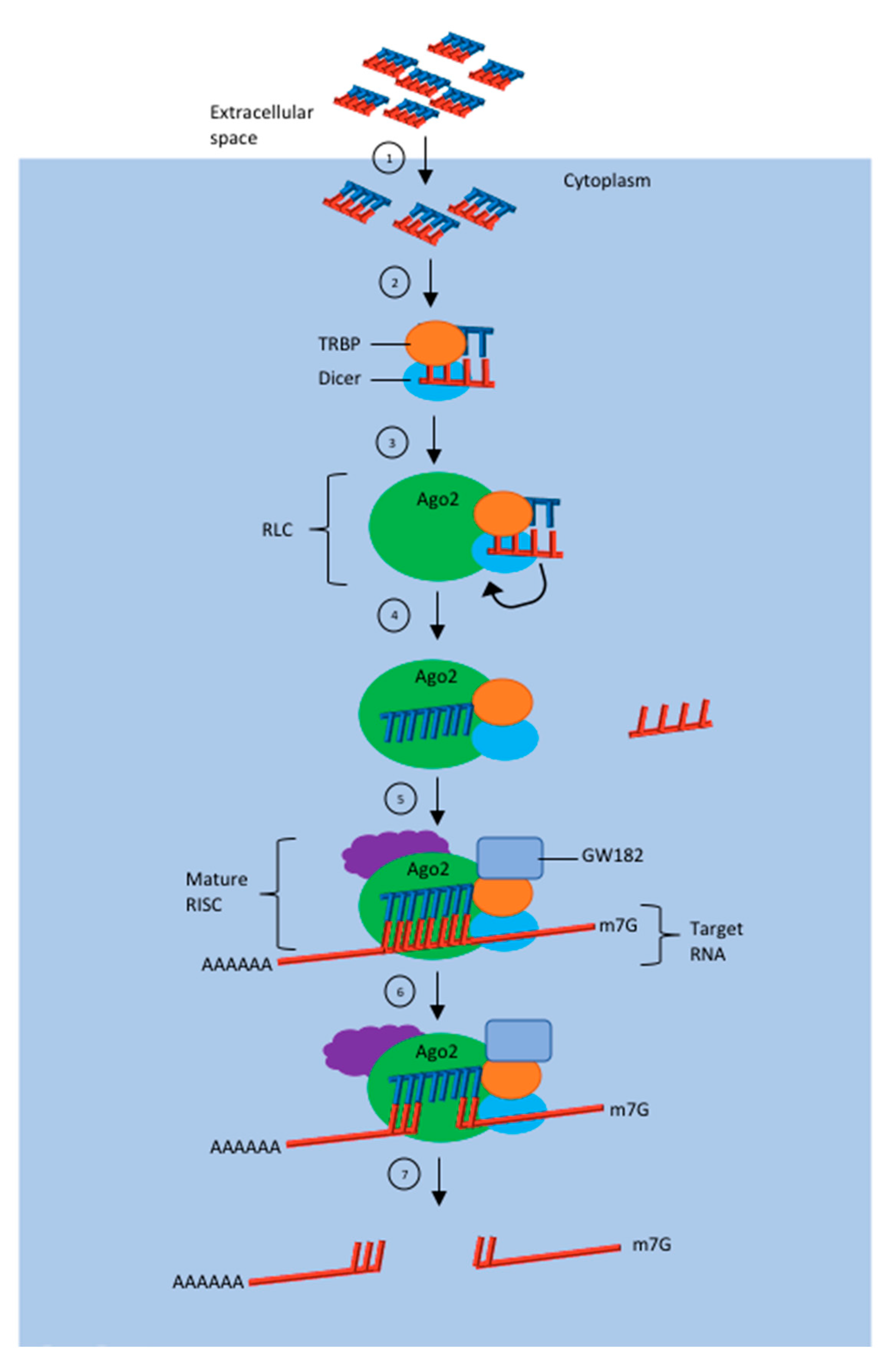 Pharmaceuticals 13 00294 g002