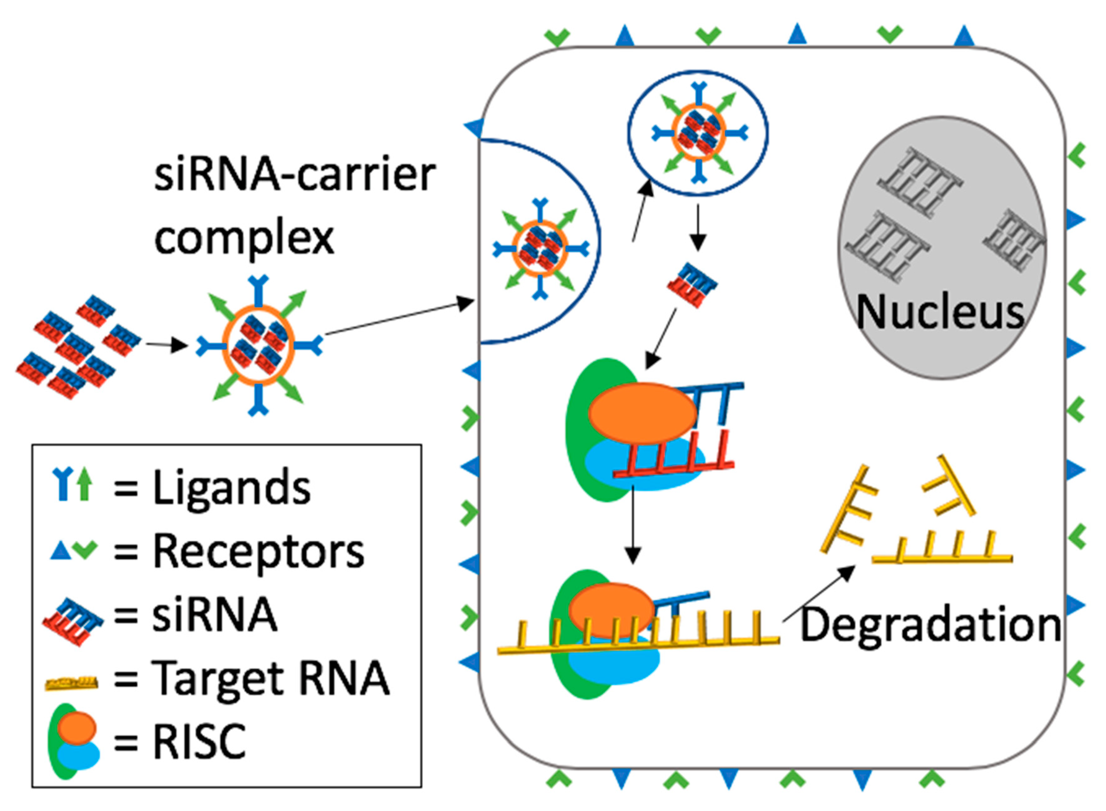 Pharmaceuticals 13 00294 g008