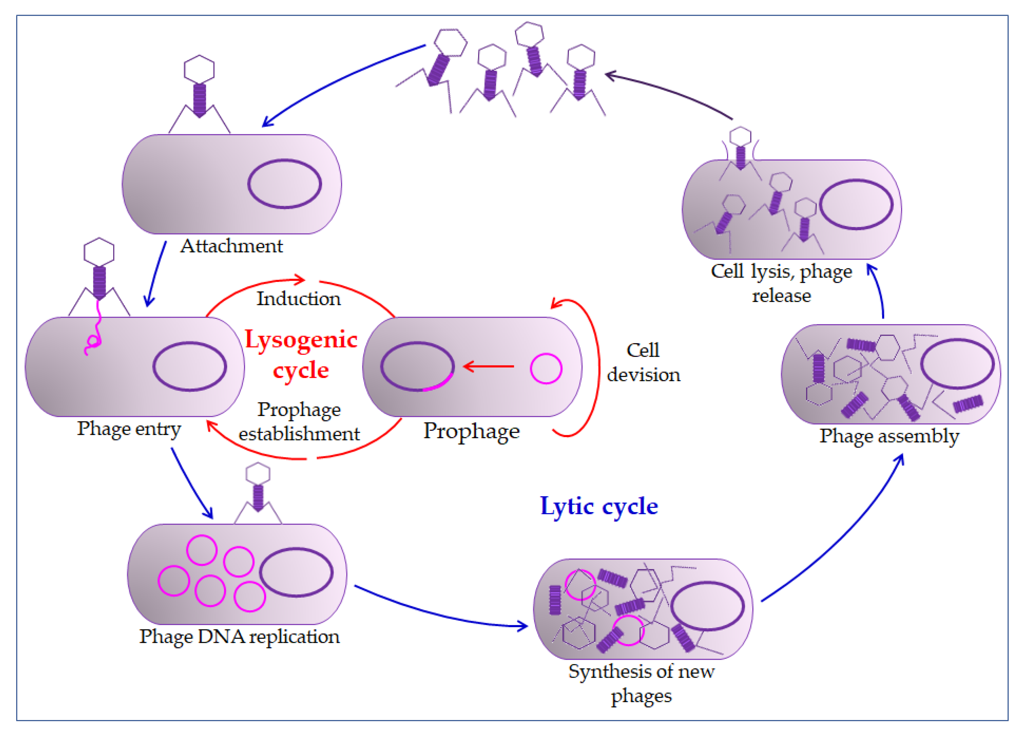 Pharmaceuticals 13 00299 g002 Pharmaceuticals 13 00299 g002