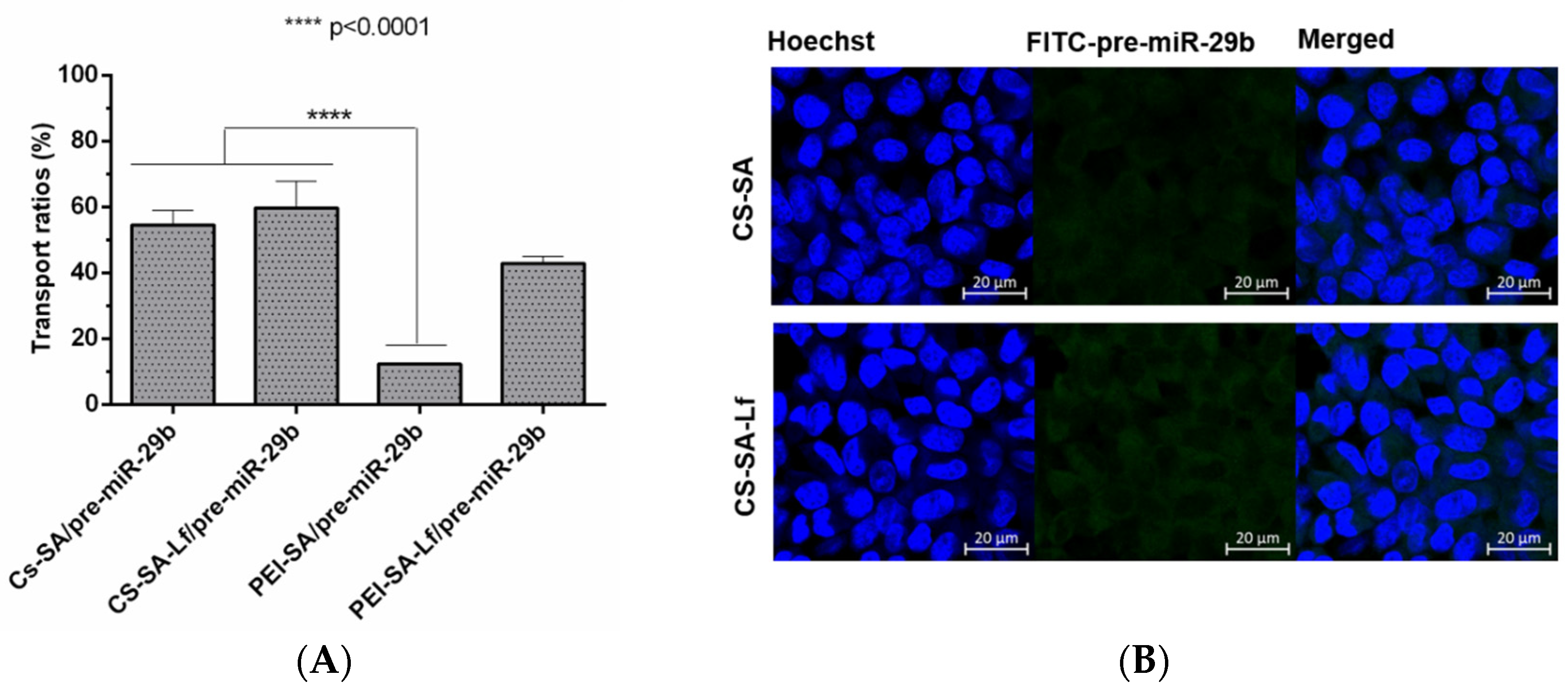 Pharmaceuticals 13 00314 g008