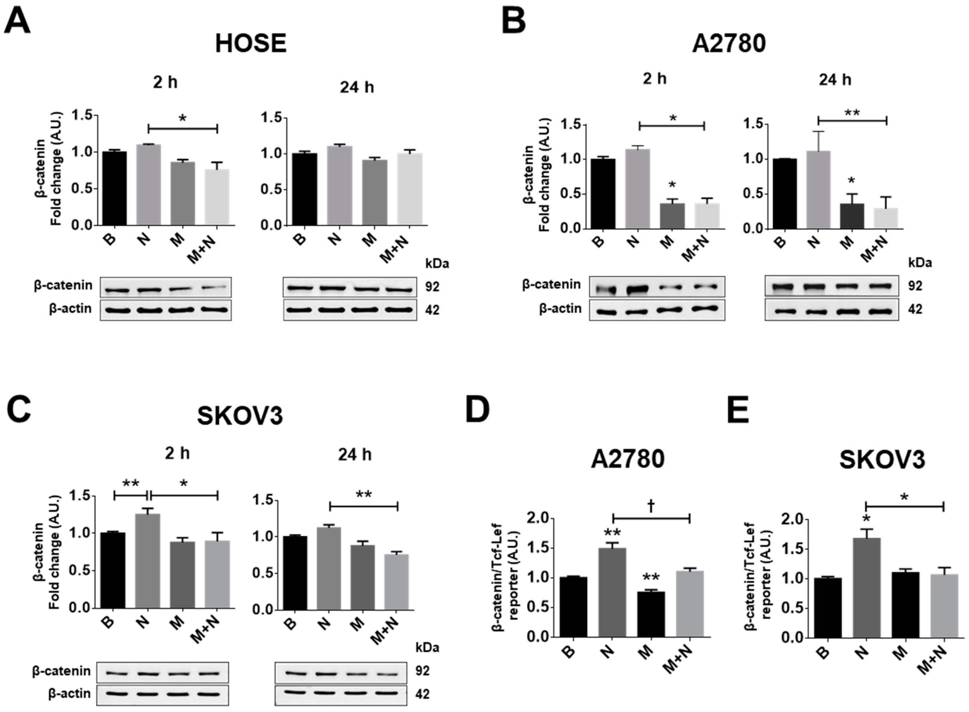 Pharmaceuticals 13 00315 g002