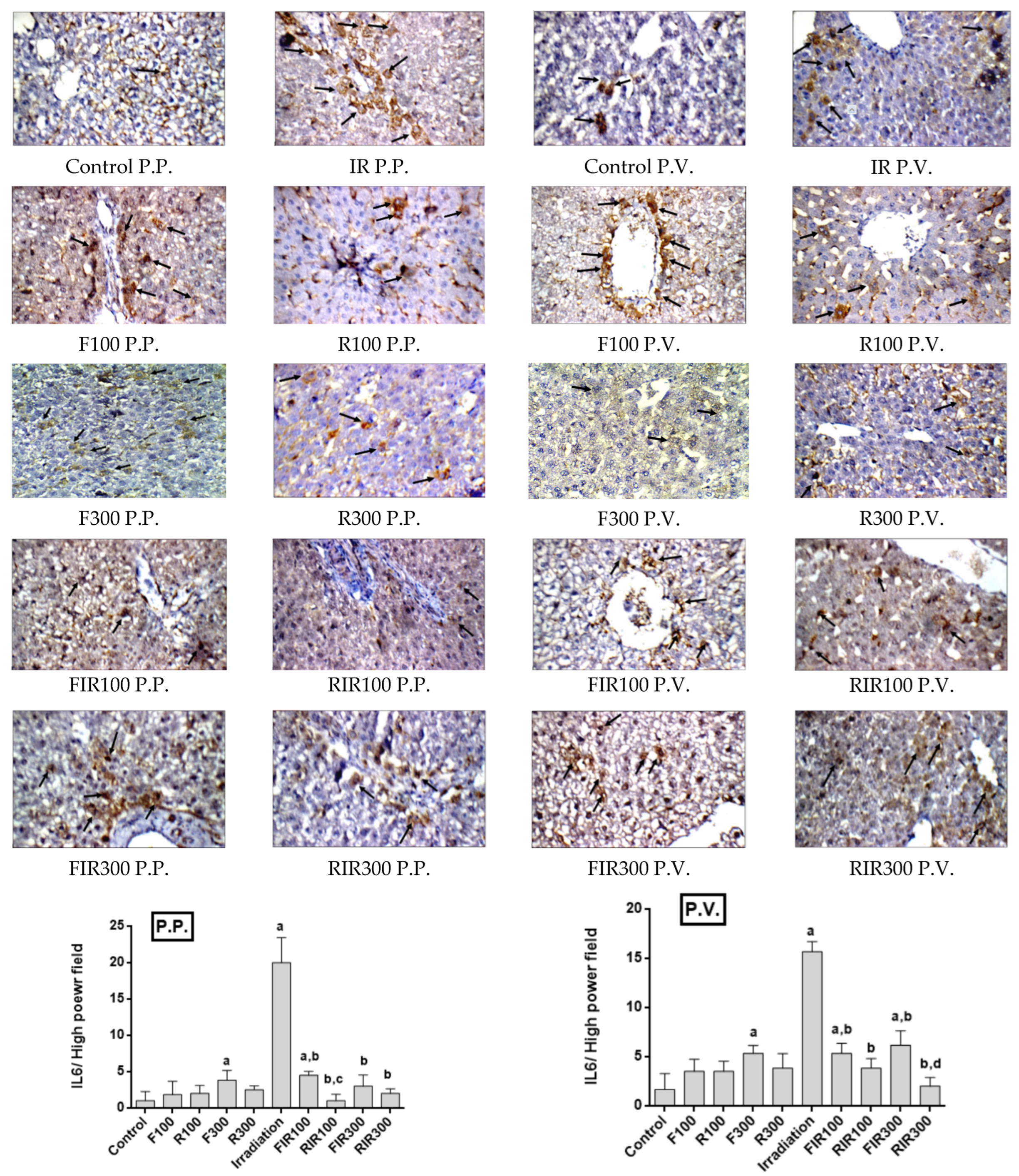 Pharmaceuticals 13 00320 g007