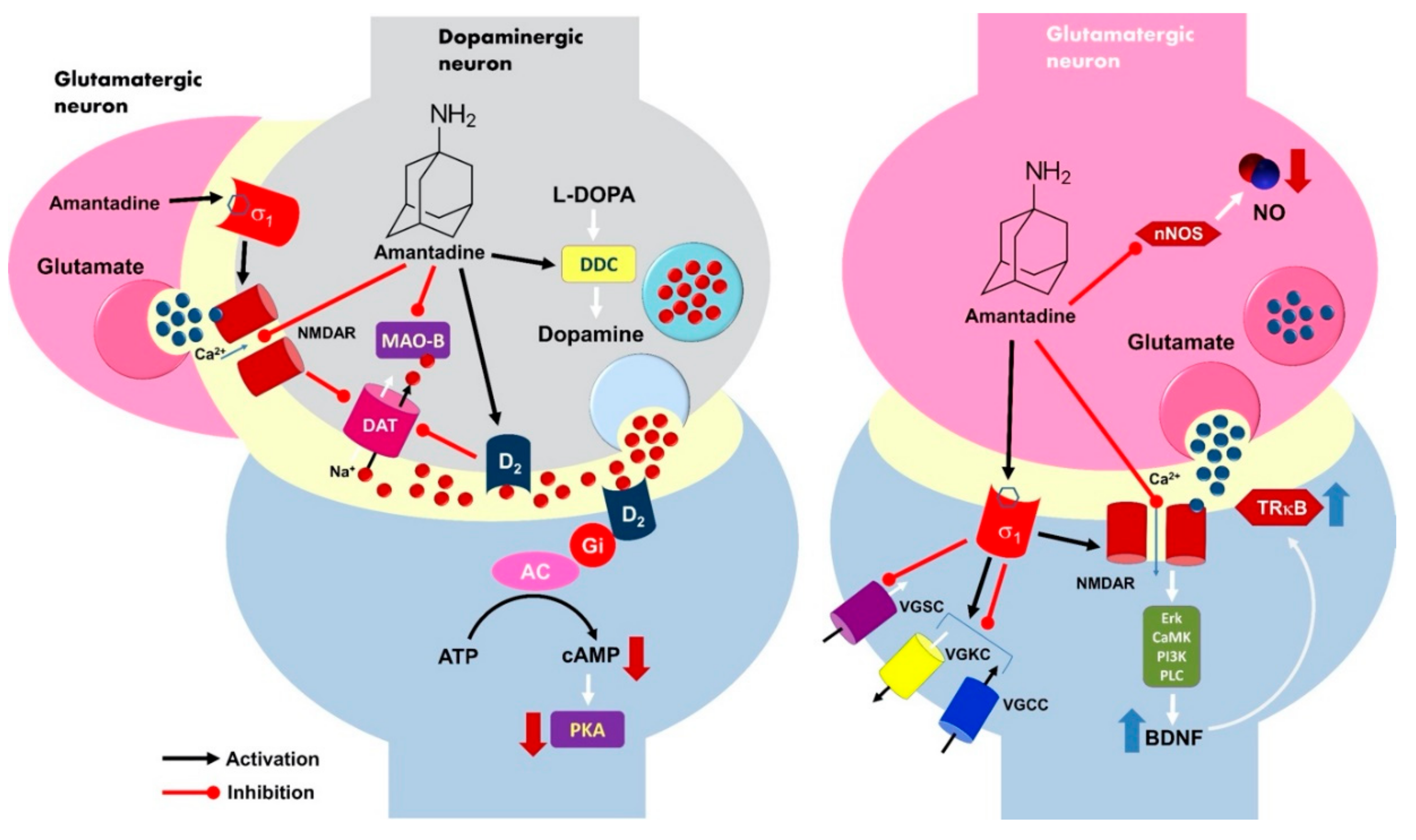 Pharmaceuticals 13 00326 g001